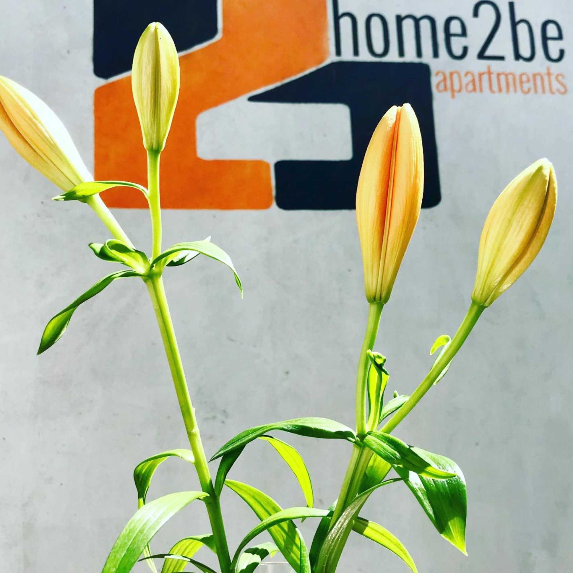 Gift card for Home2be Apartments