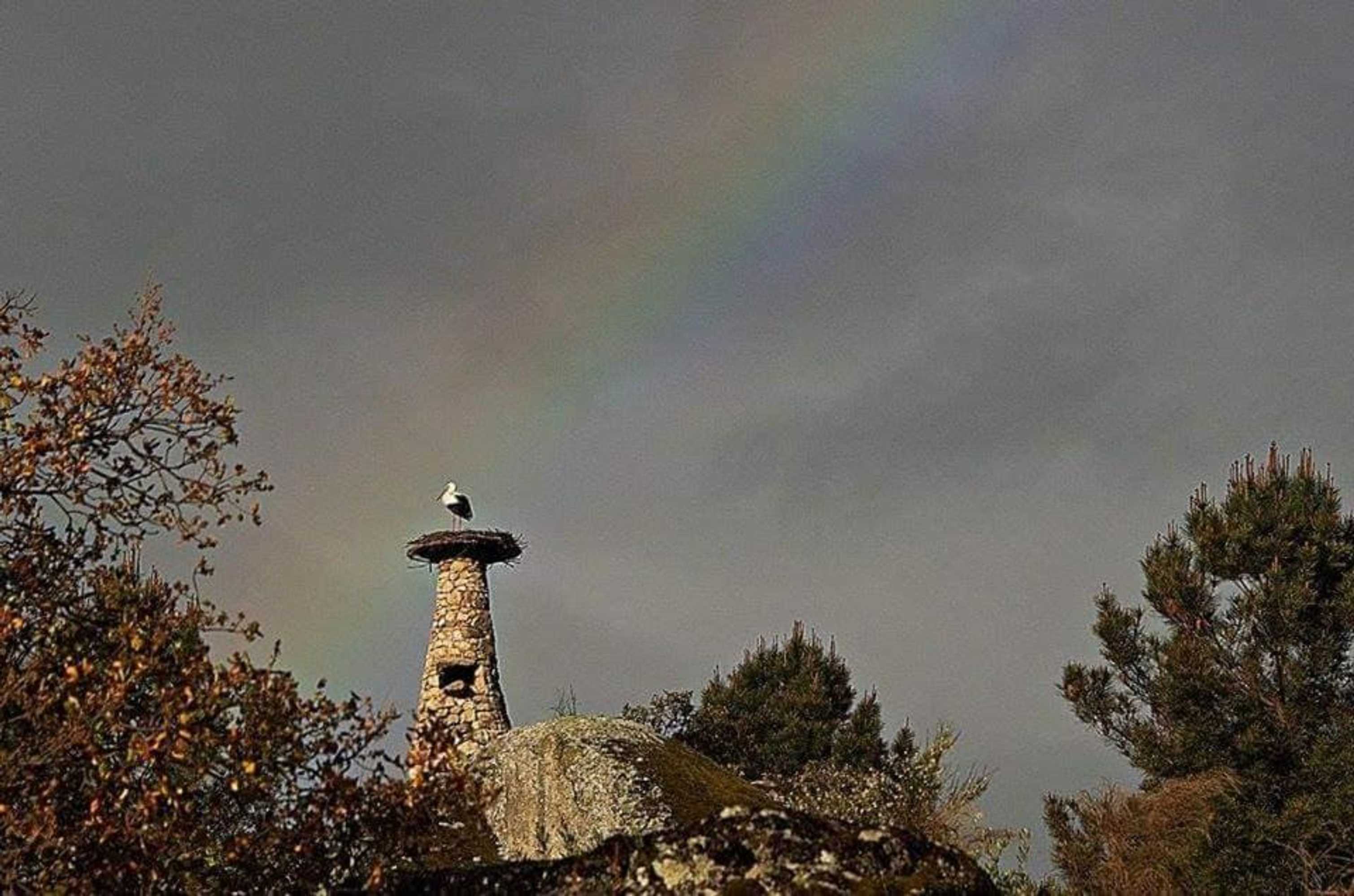 Gift card for Tapada da Rabela - Reserva Natural