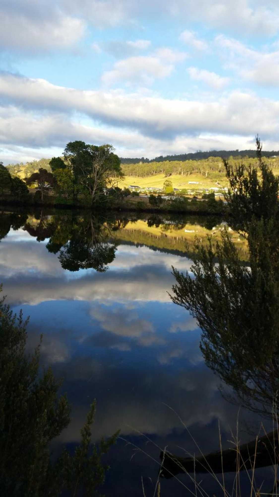 Gift card for Birch Lane