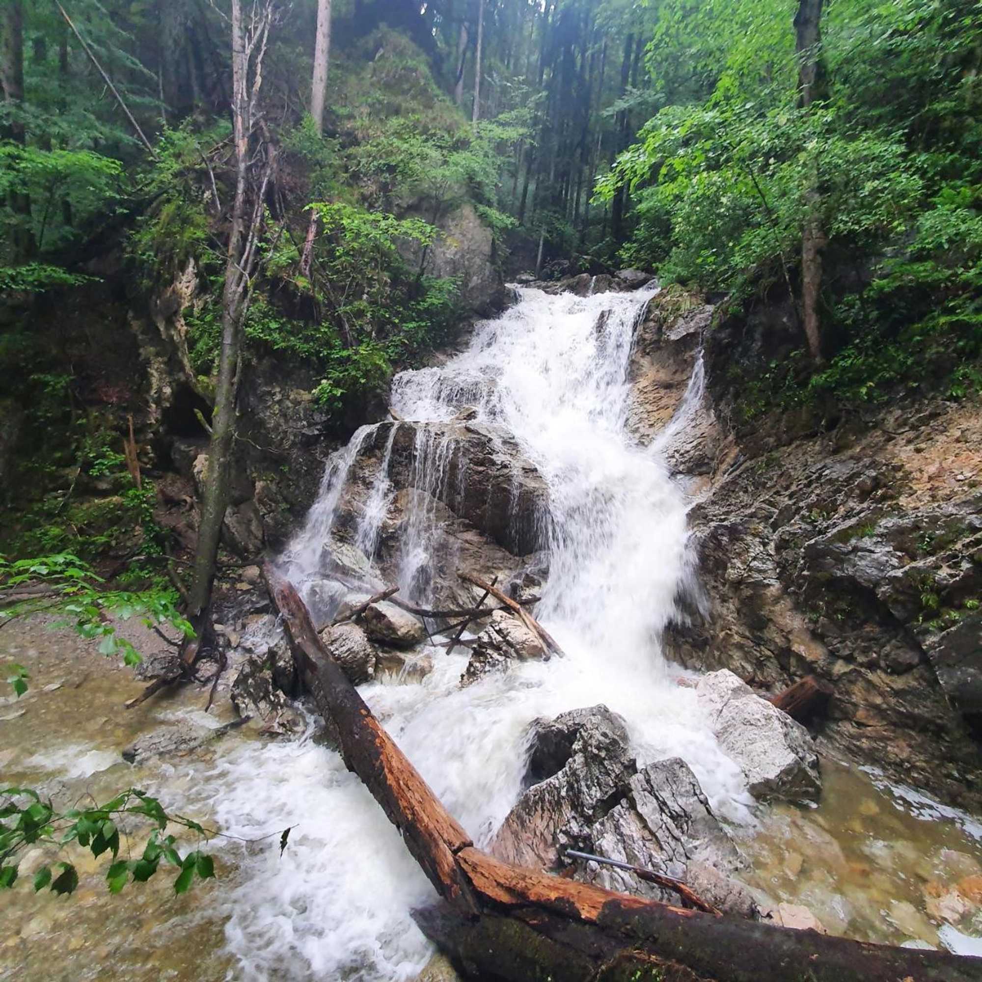 Gift card for Pension Maria