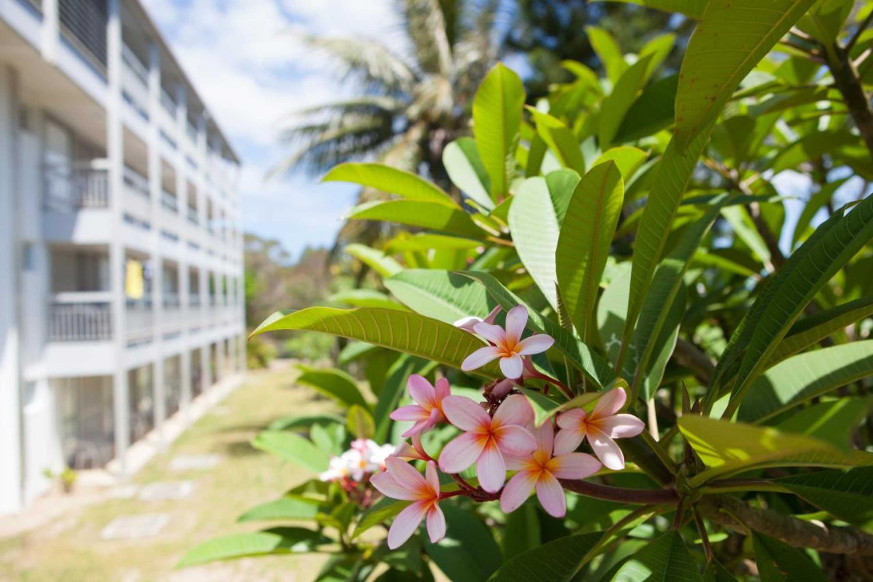Gift card for Auberge Jeunesse Nouméa