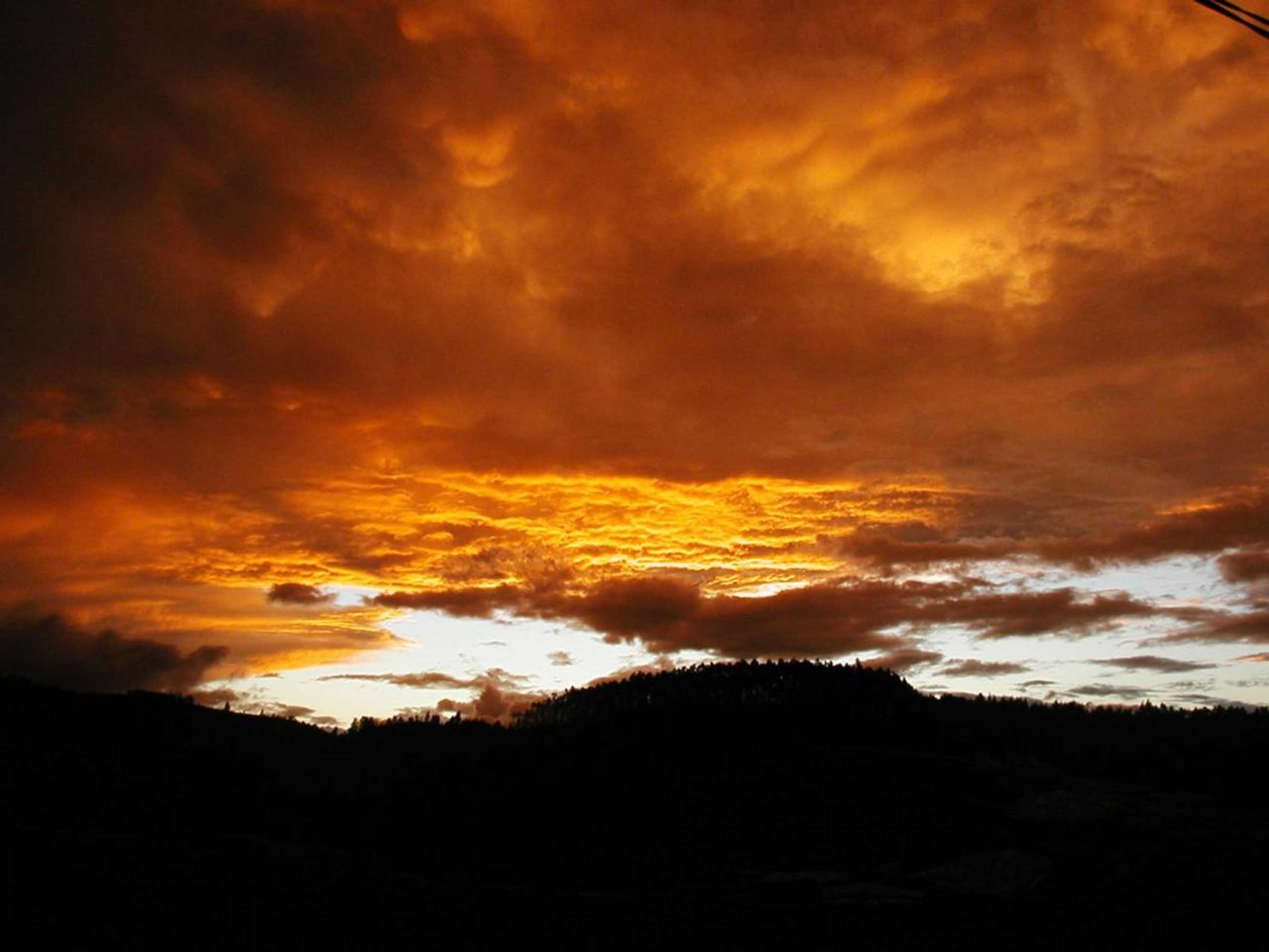 Gift card for Casa de Xisto