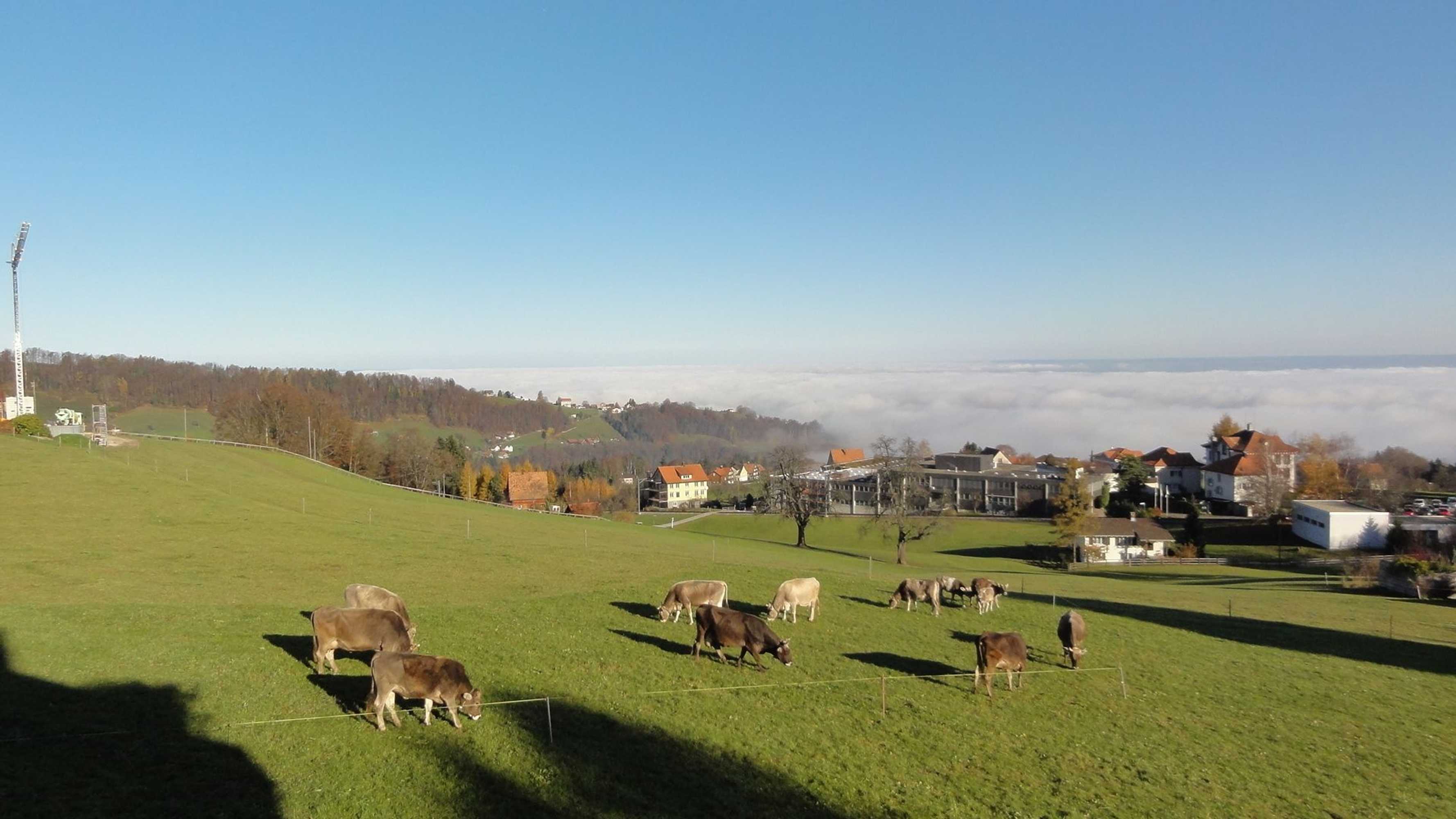 Gift card for Hotel Park