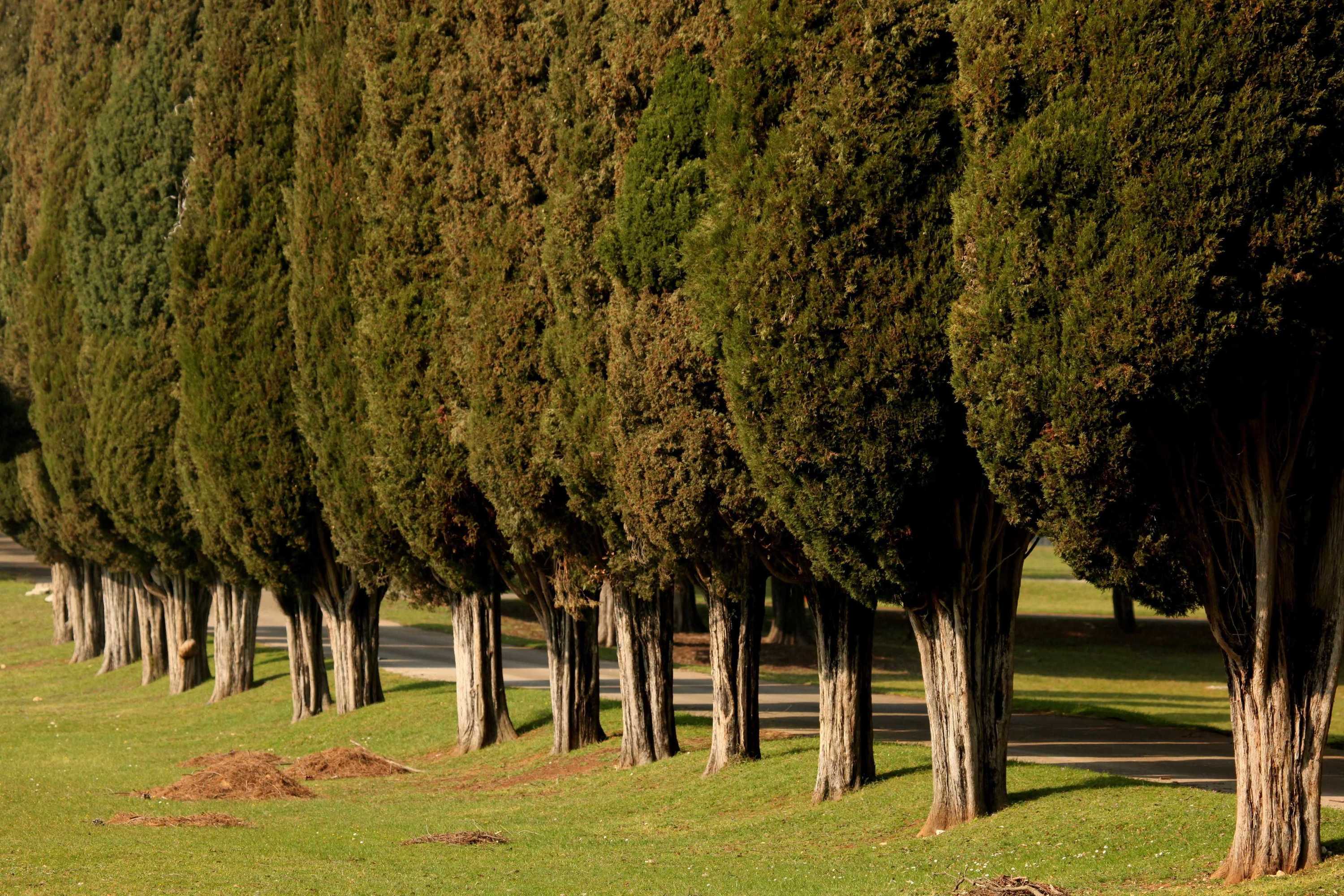 Gift card for Brijuni Hotel Neptun