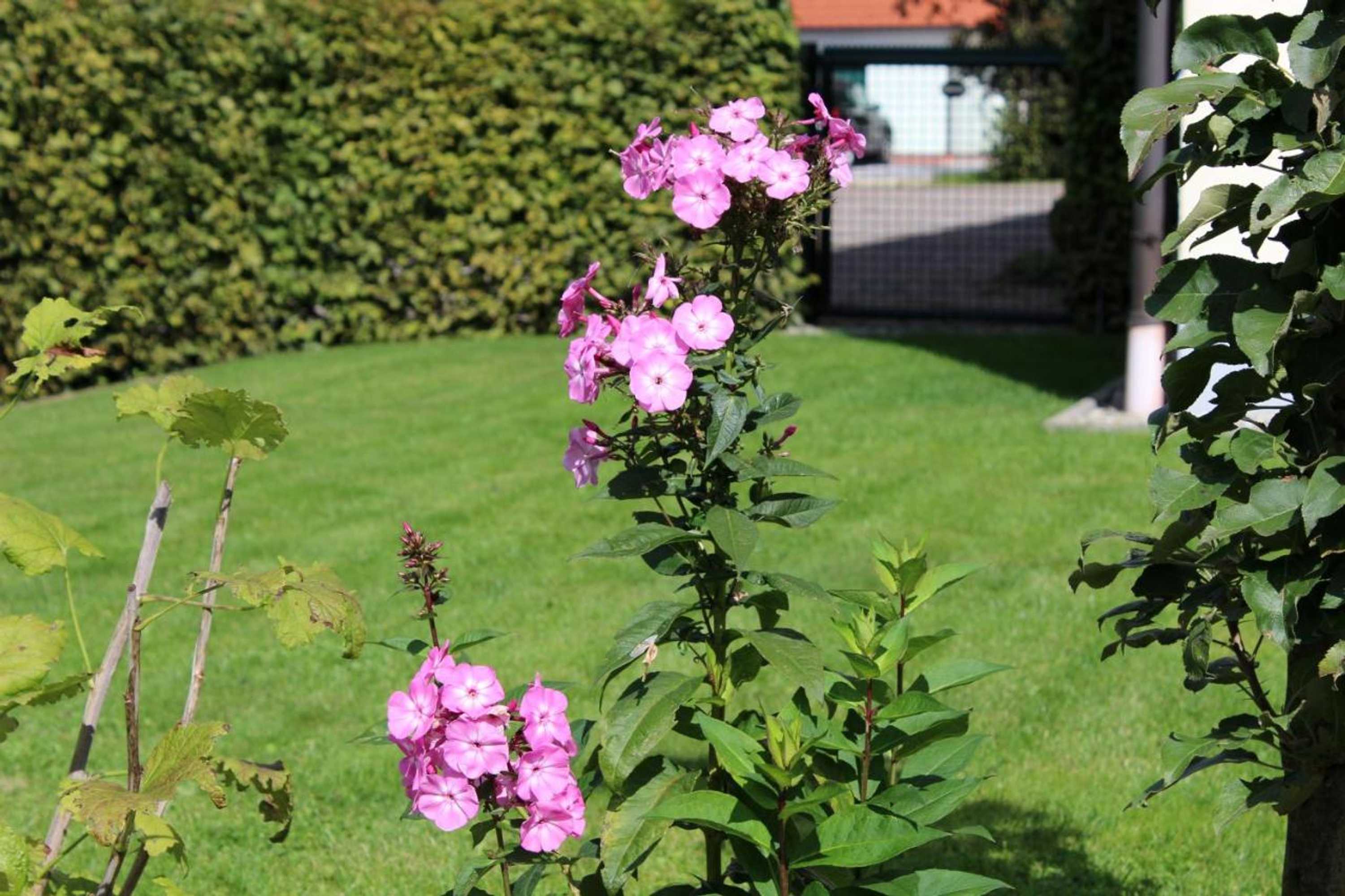 Gift card for Hotel Heike Garni