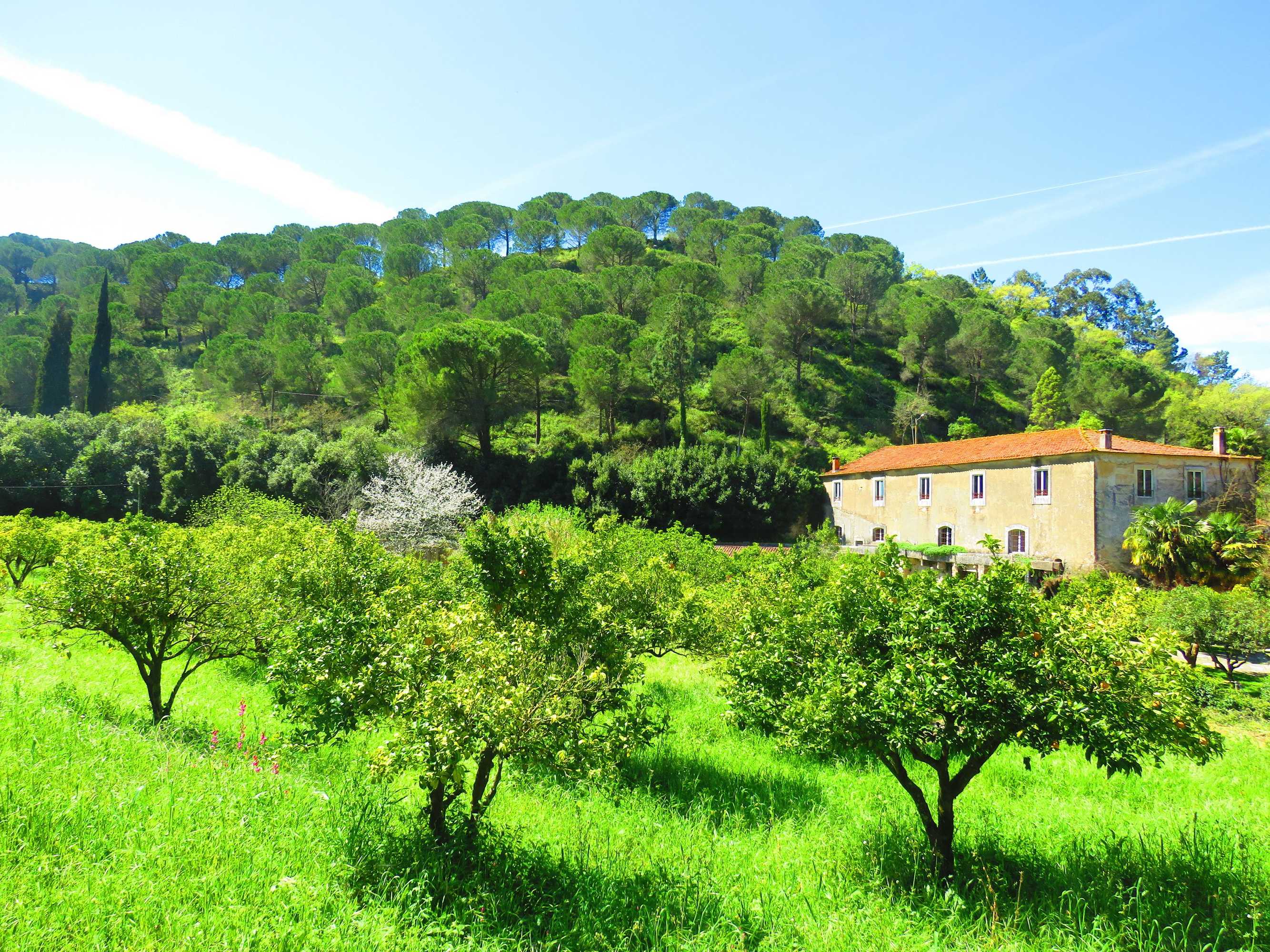 Gift card for Quinta de Rio Alcaide Gift card for Quinta de Rio Alcaide
