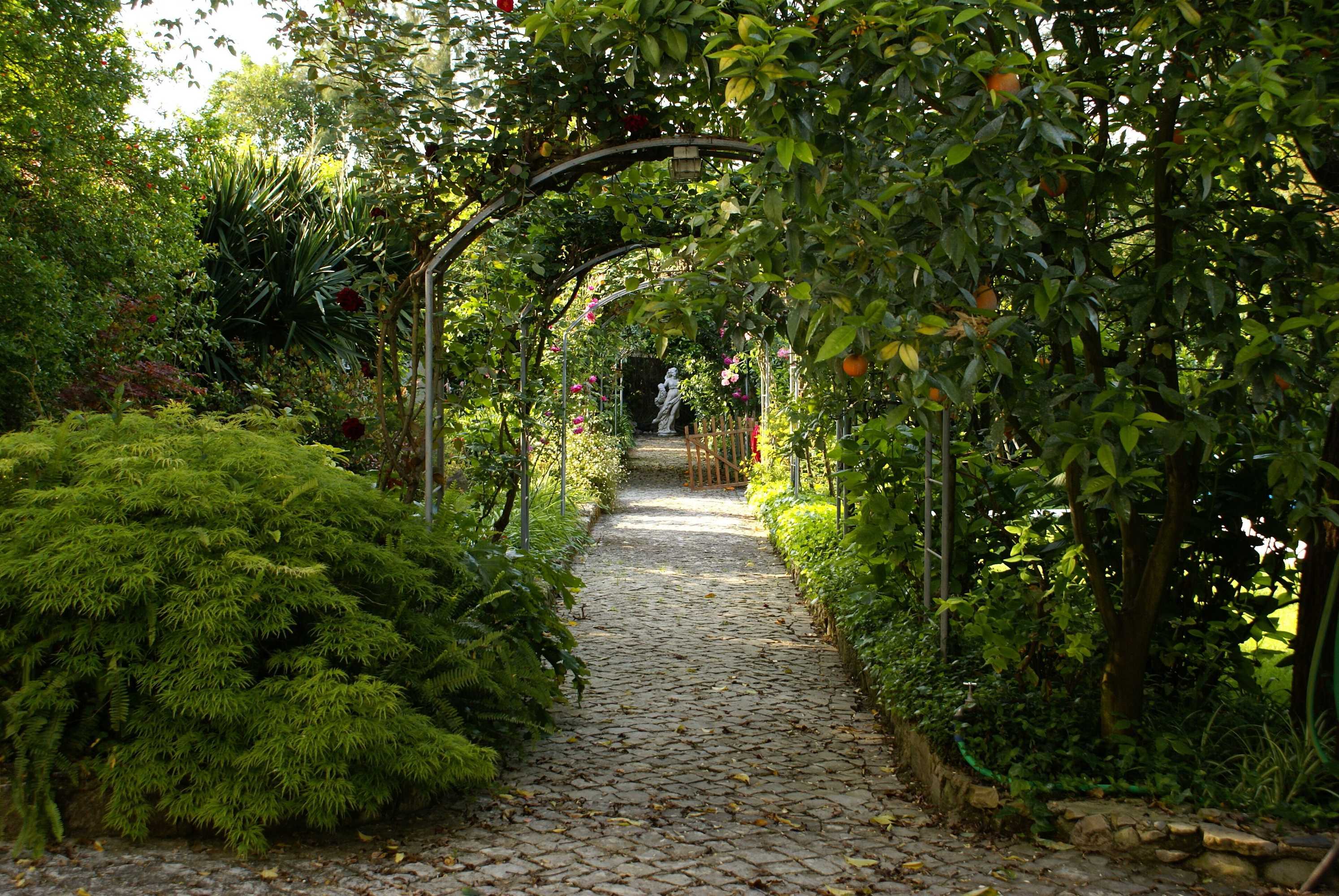 Gift card for Quinta de São Lourenço Gift card for Quinta de São Lourenço