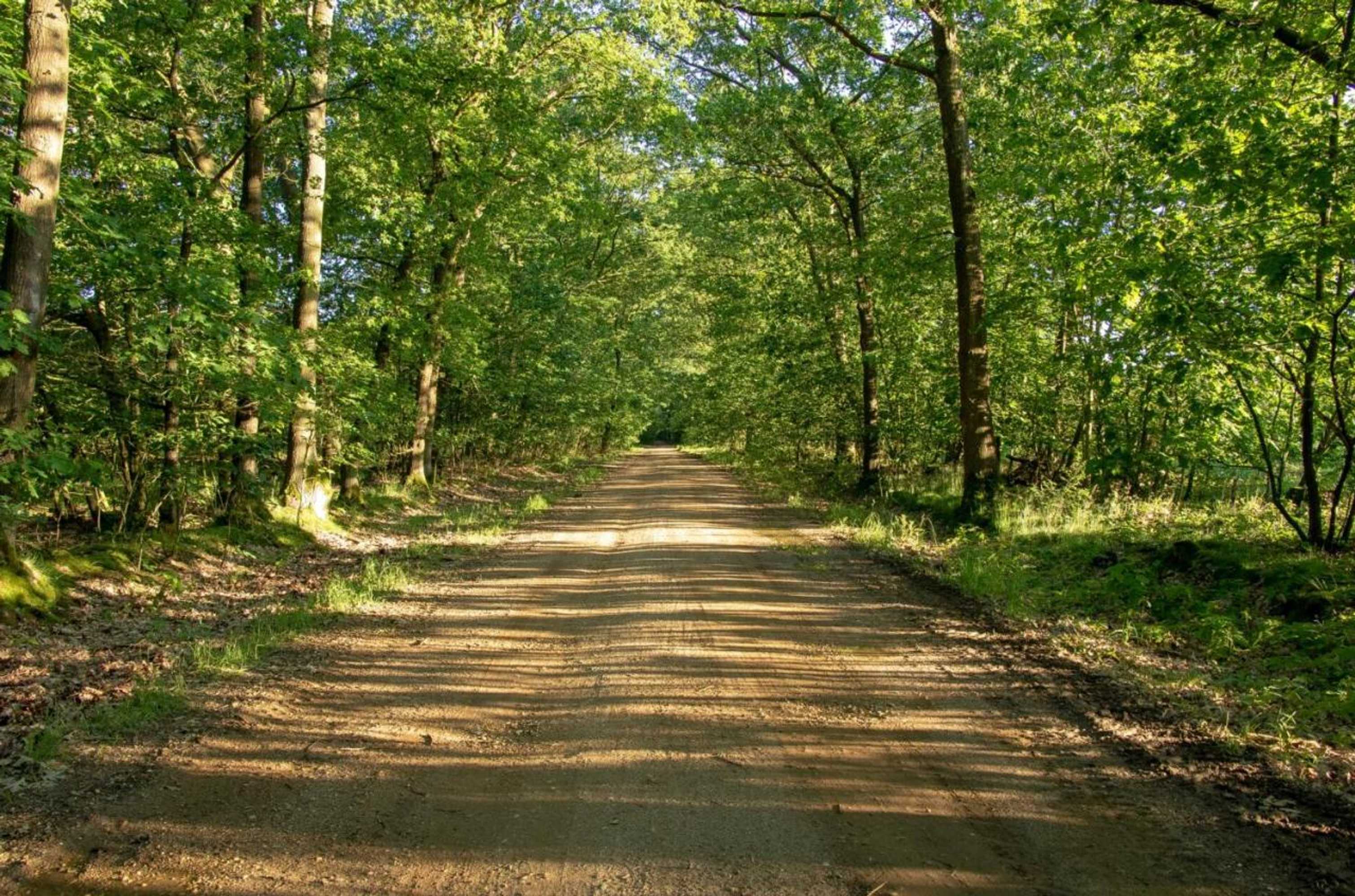 Gift card for Heidebos