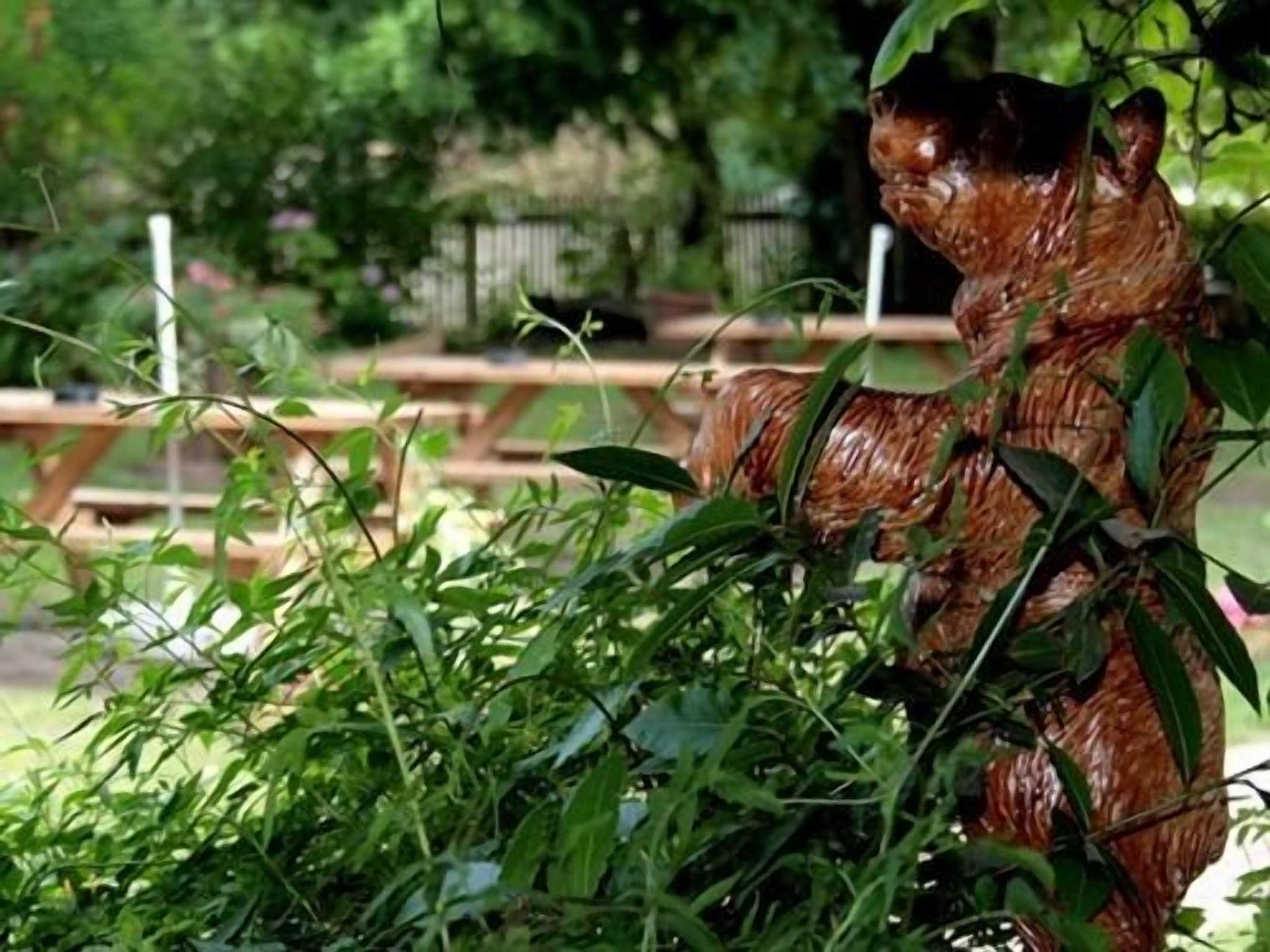 Gift card for The Bent Arms