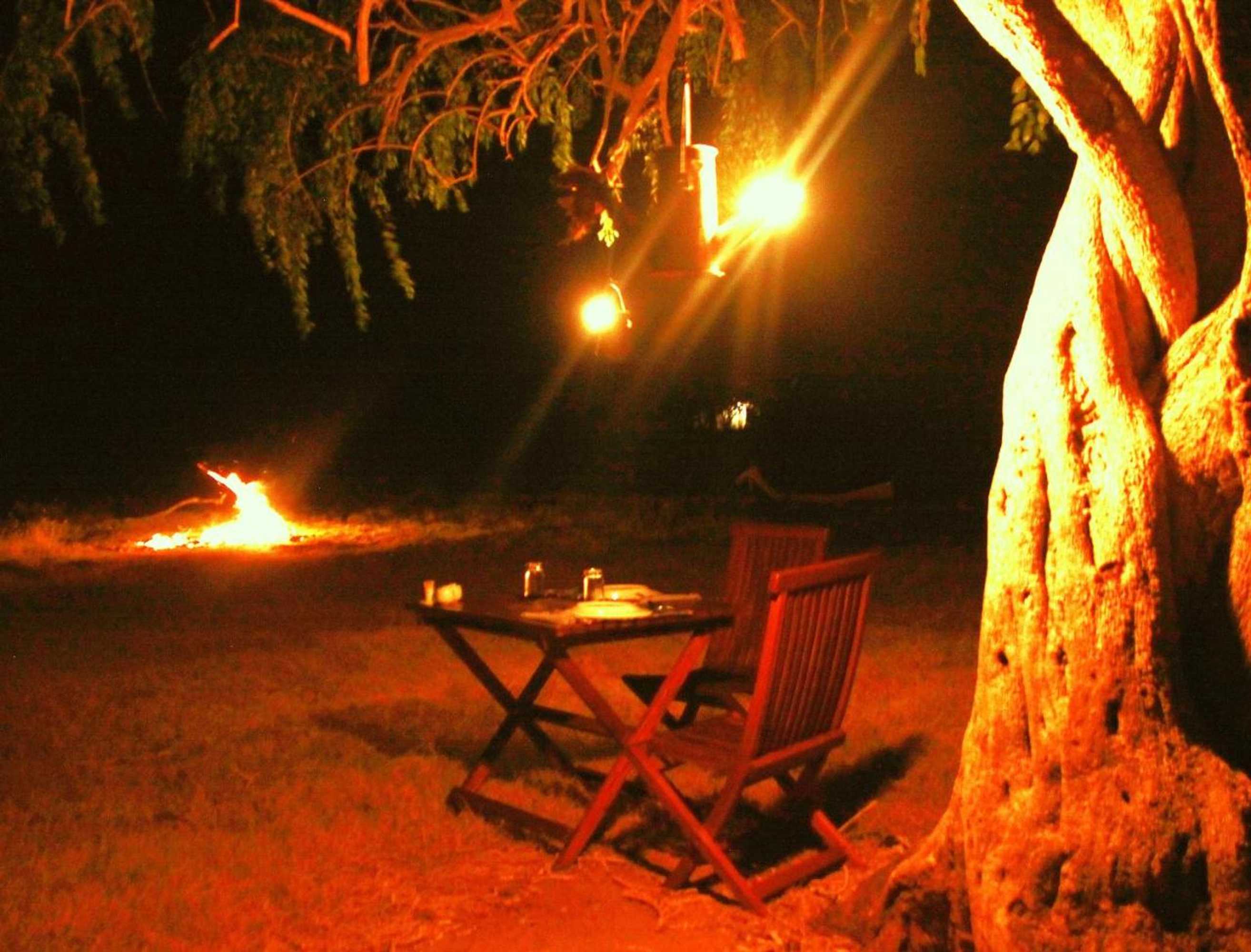 Gift card for The Ibis - Wilpattu