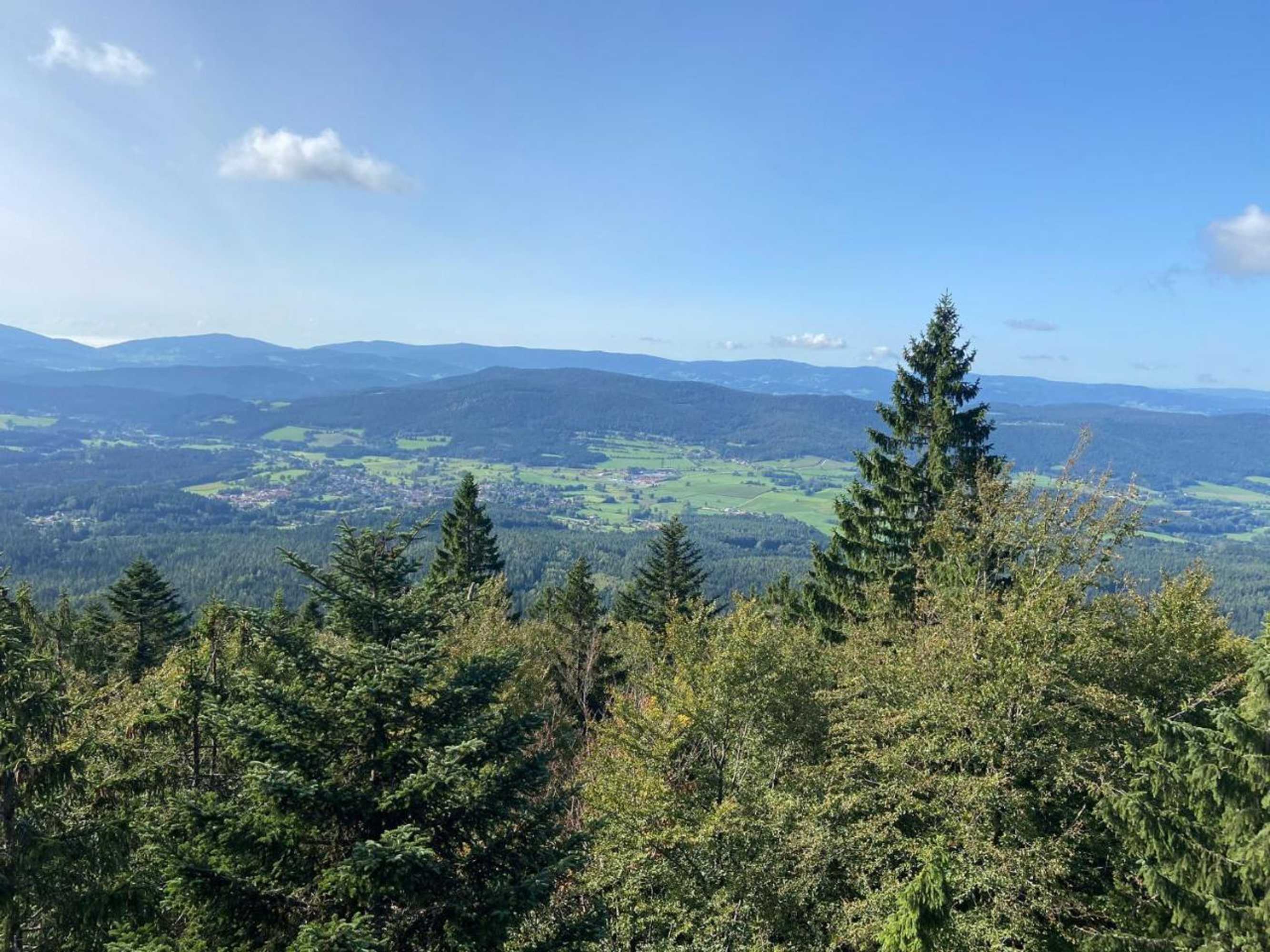 Gift card for Landgasthof Brandtner Wirt