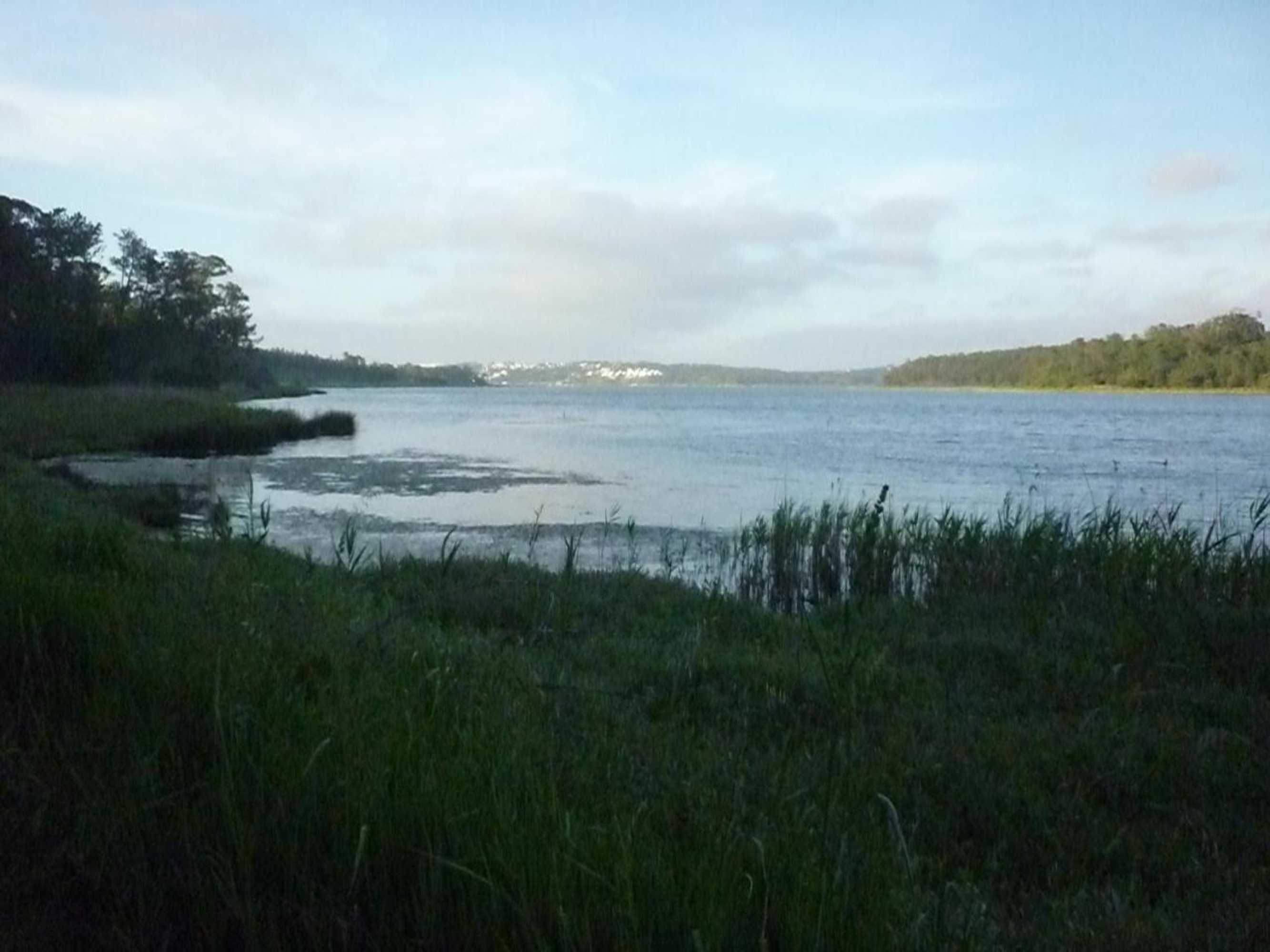 Gift card for Casa Picva