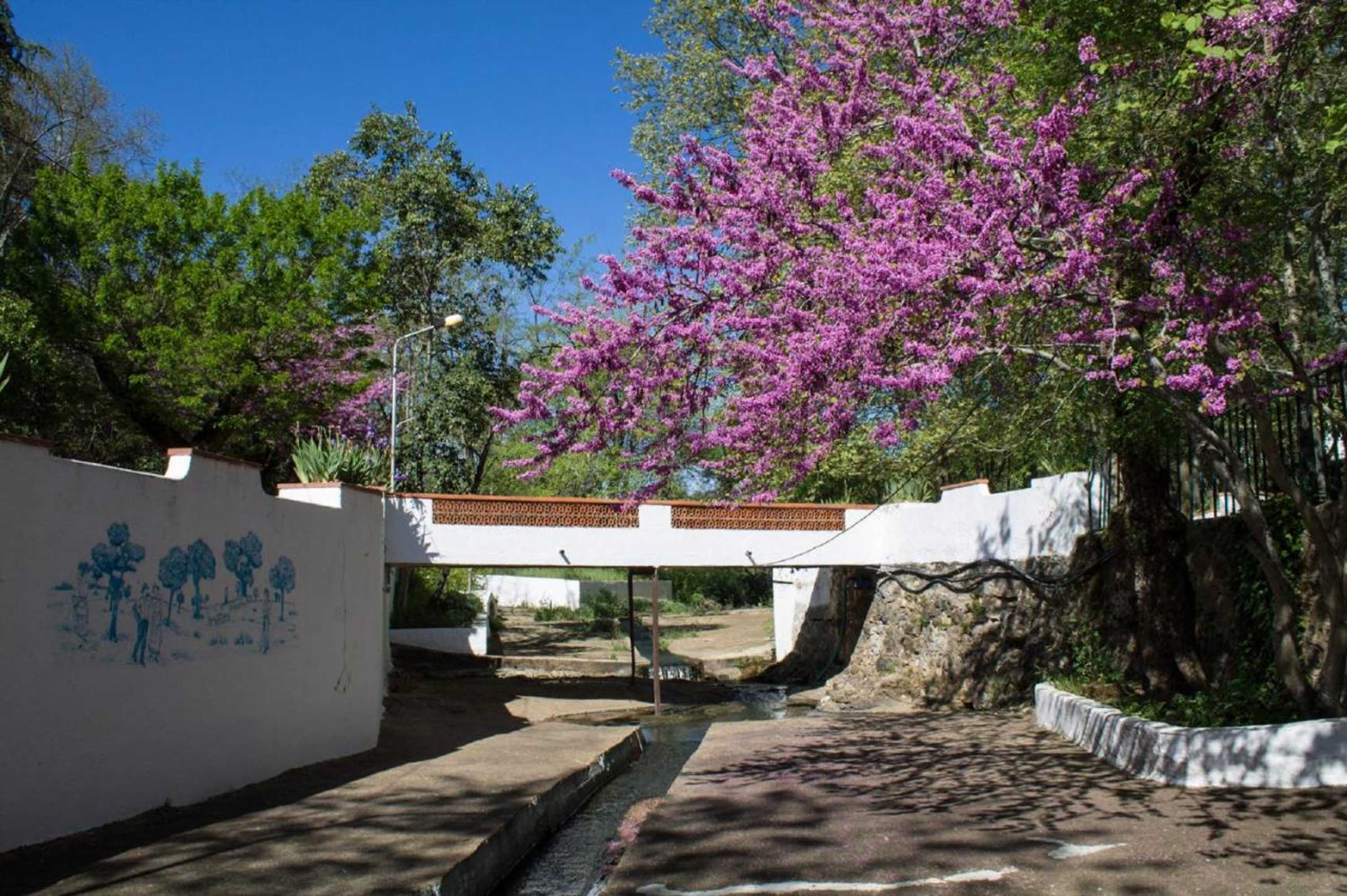 Gift card for Termas da Sulfurea