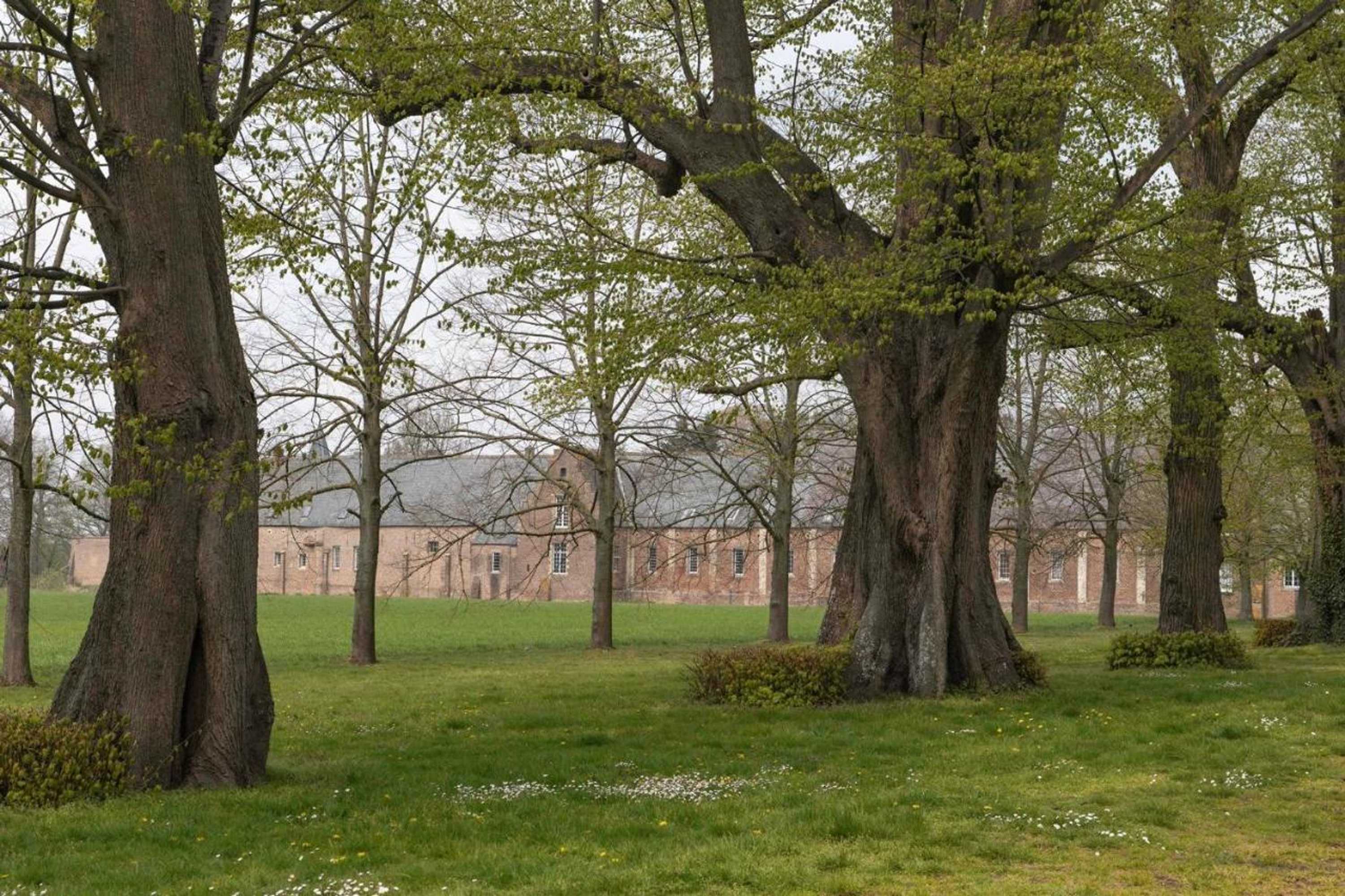 Gift card for Beeltjens B&b: Wolf&belle