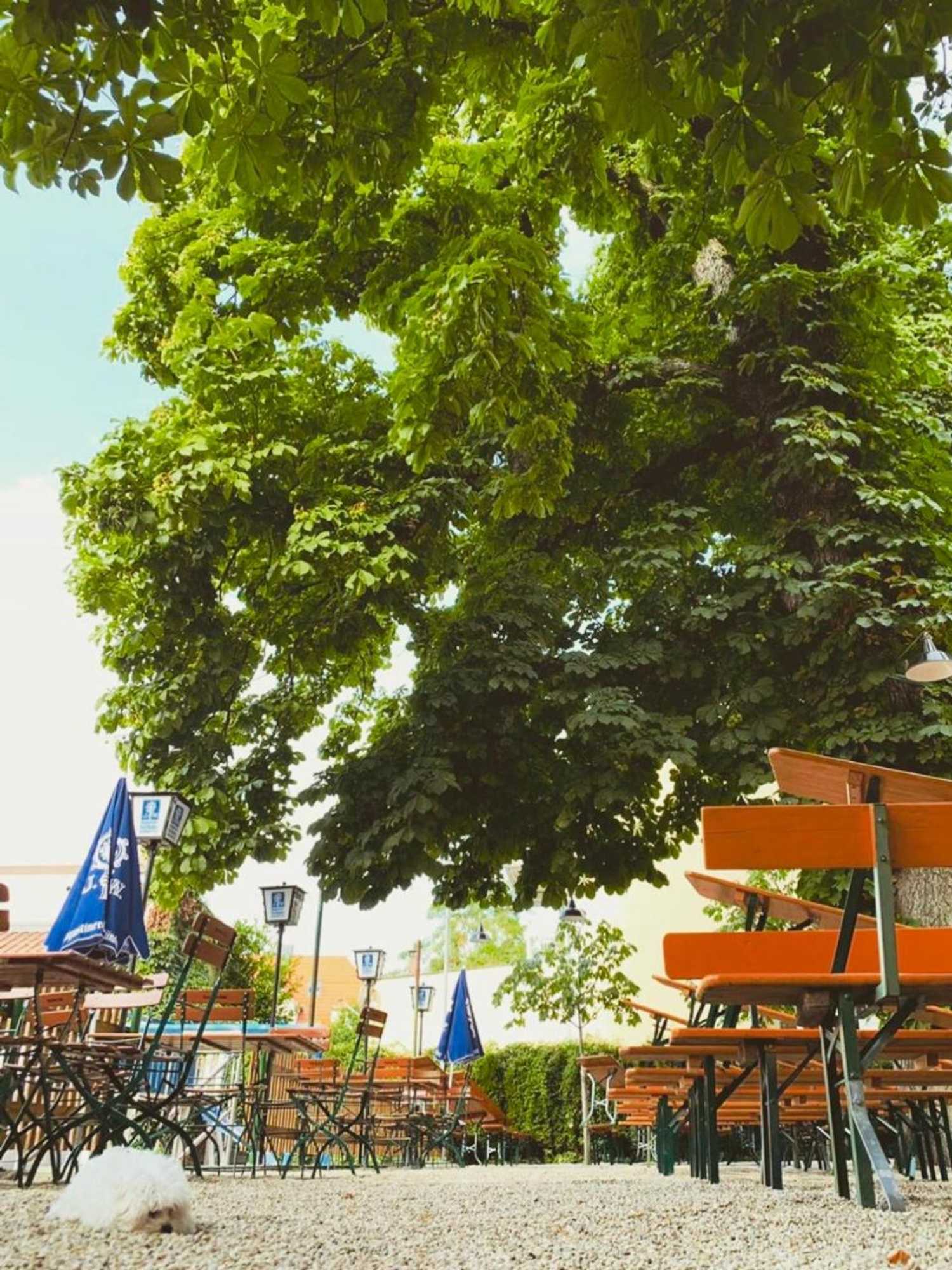 Gift card for Landshuter Hof