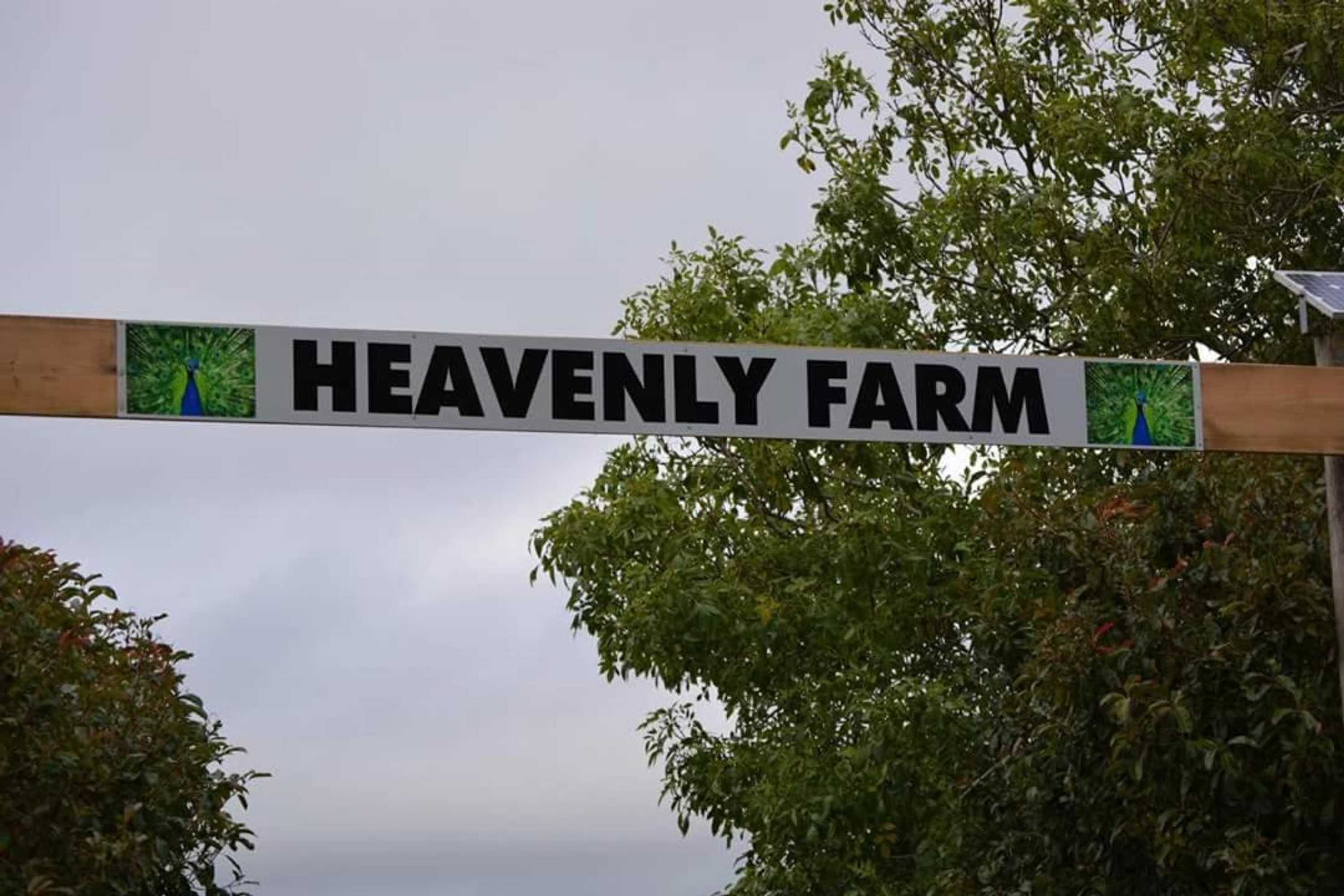 Gift card for Heavenly Farm B & B Tasmania