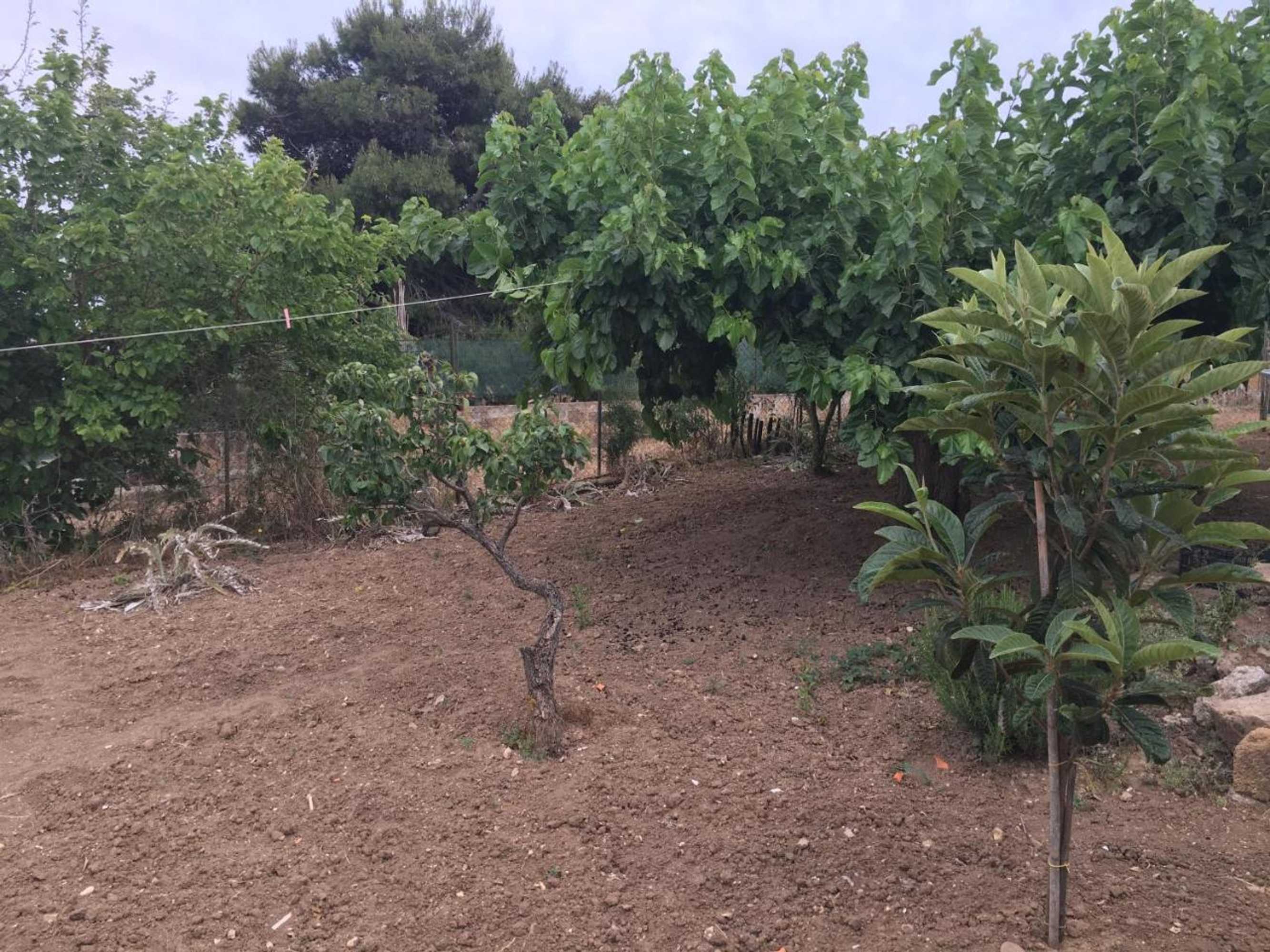 Gift card for La Bianca Scogliera