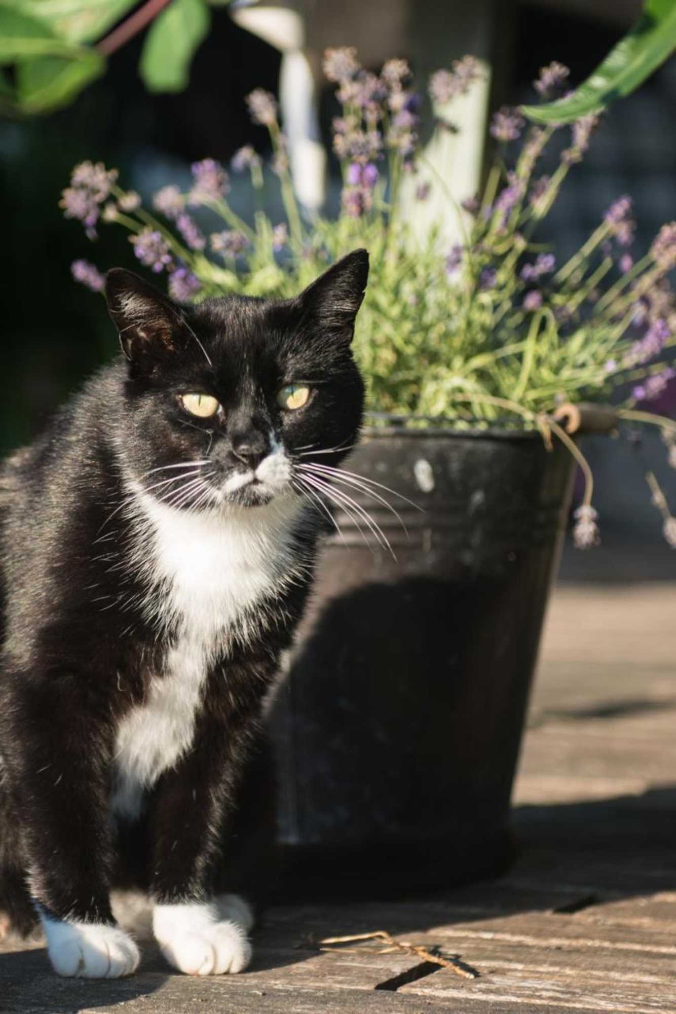 Gift card for Broeks' Bed En Brood