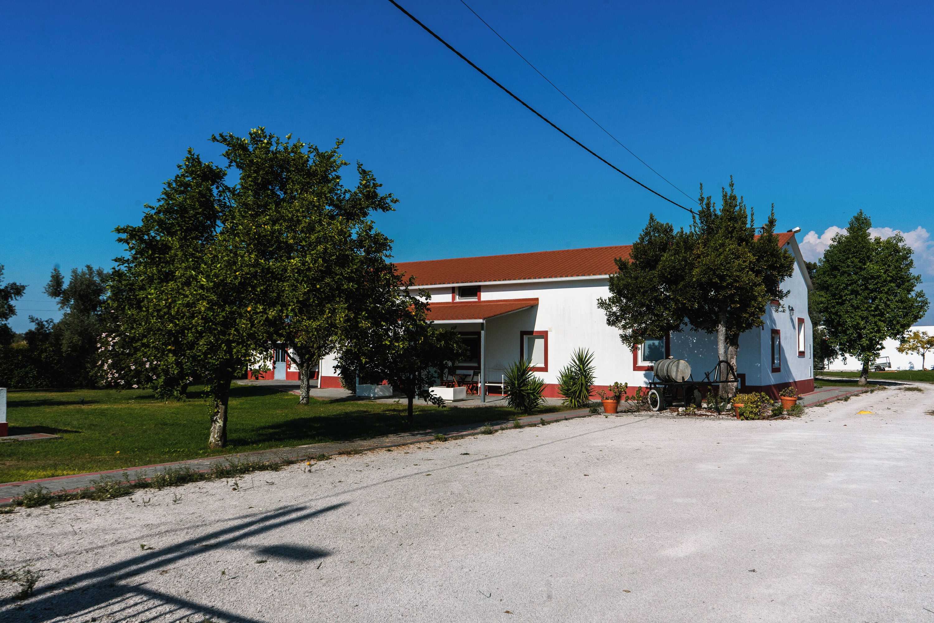 Gift card for Casa Das Pipas #6