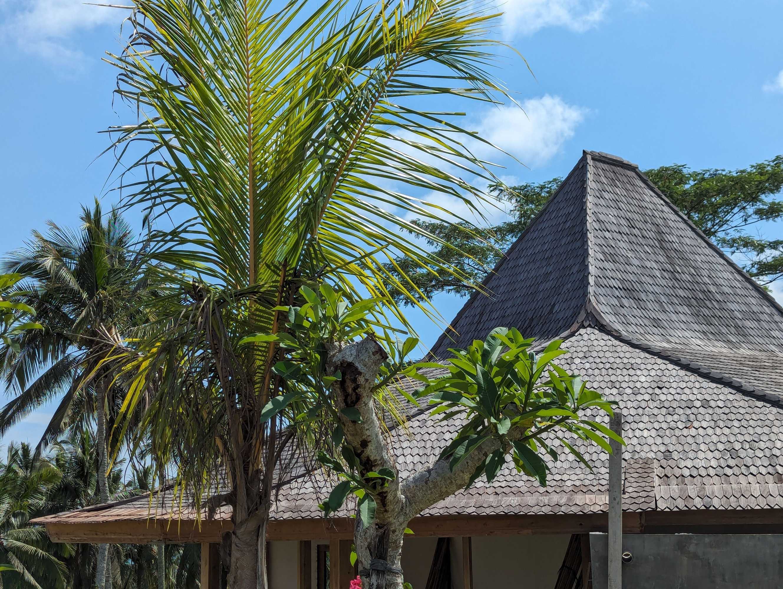 Gift card for Puri Dajuma Terrace Eco-Lodge & Spa