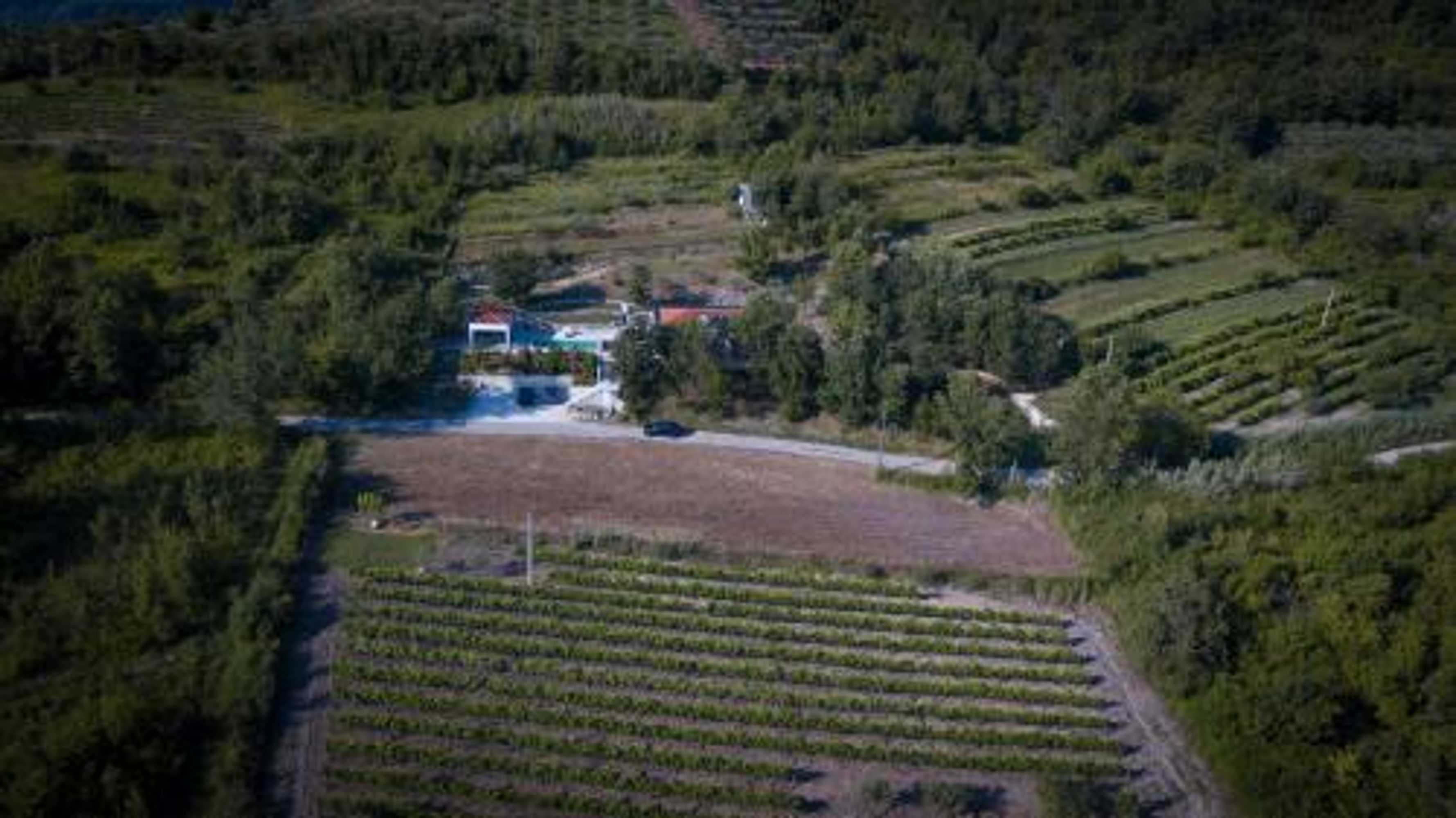Gift card for Villa Montecolori Gift card for Villa Montecolori