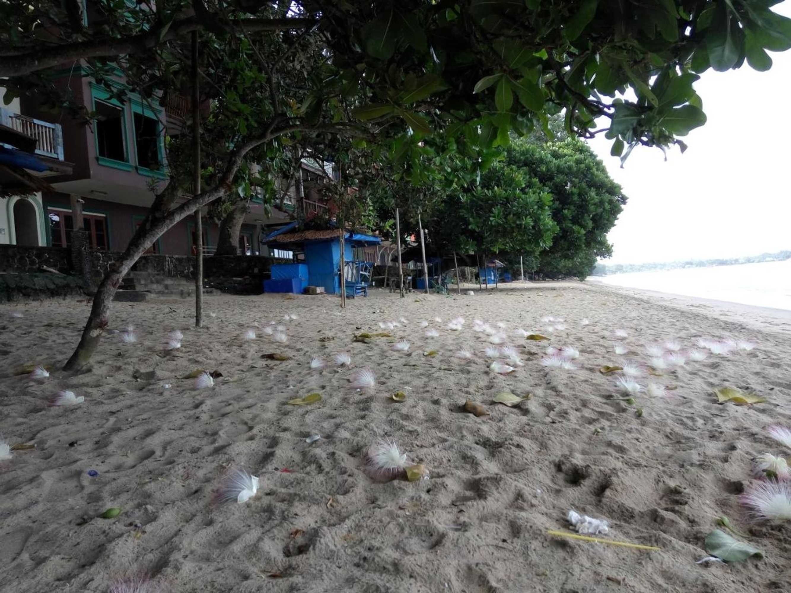 Gift card for Lippo Carita Selatan