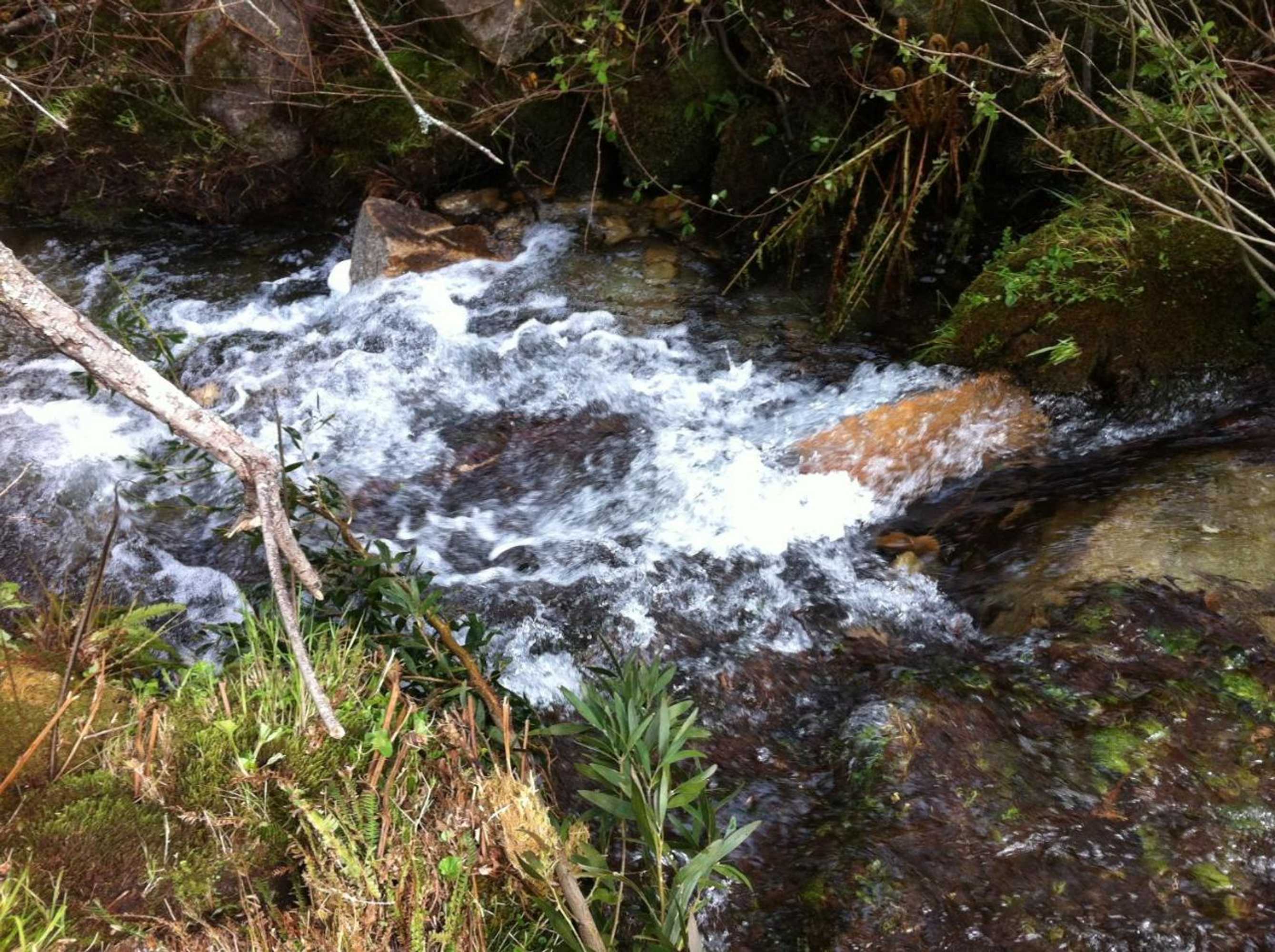 Gift card for Quinta Porto Dos Lobos Gift card for Quinta Porto Dos Lobos