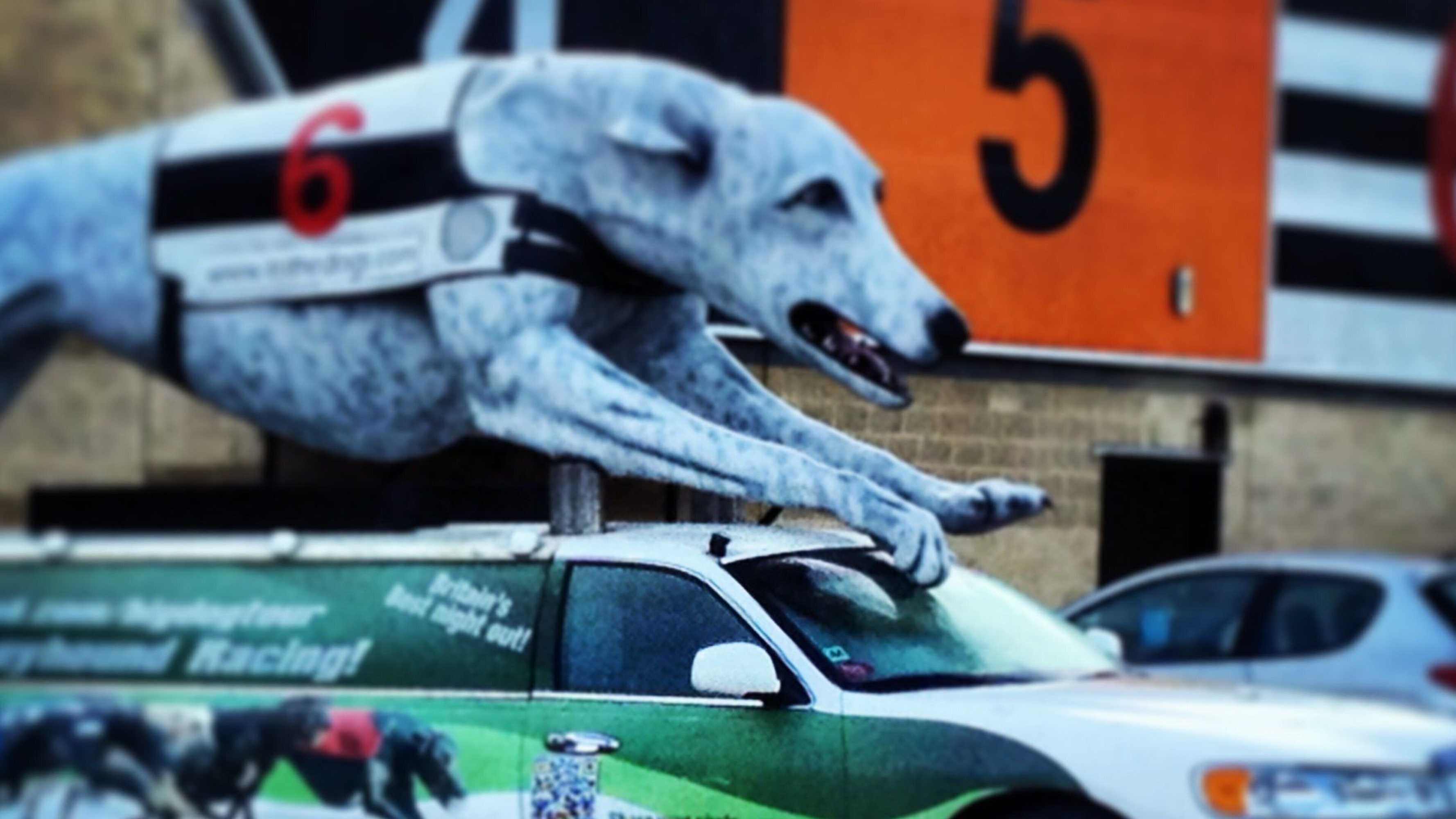 Gift card for Holiday Inn Sittingbourne by Ihg