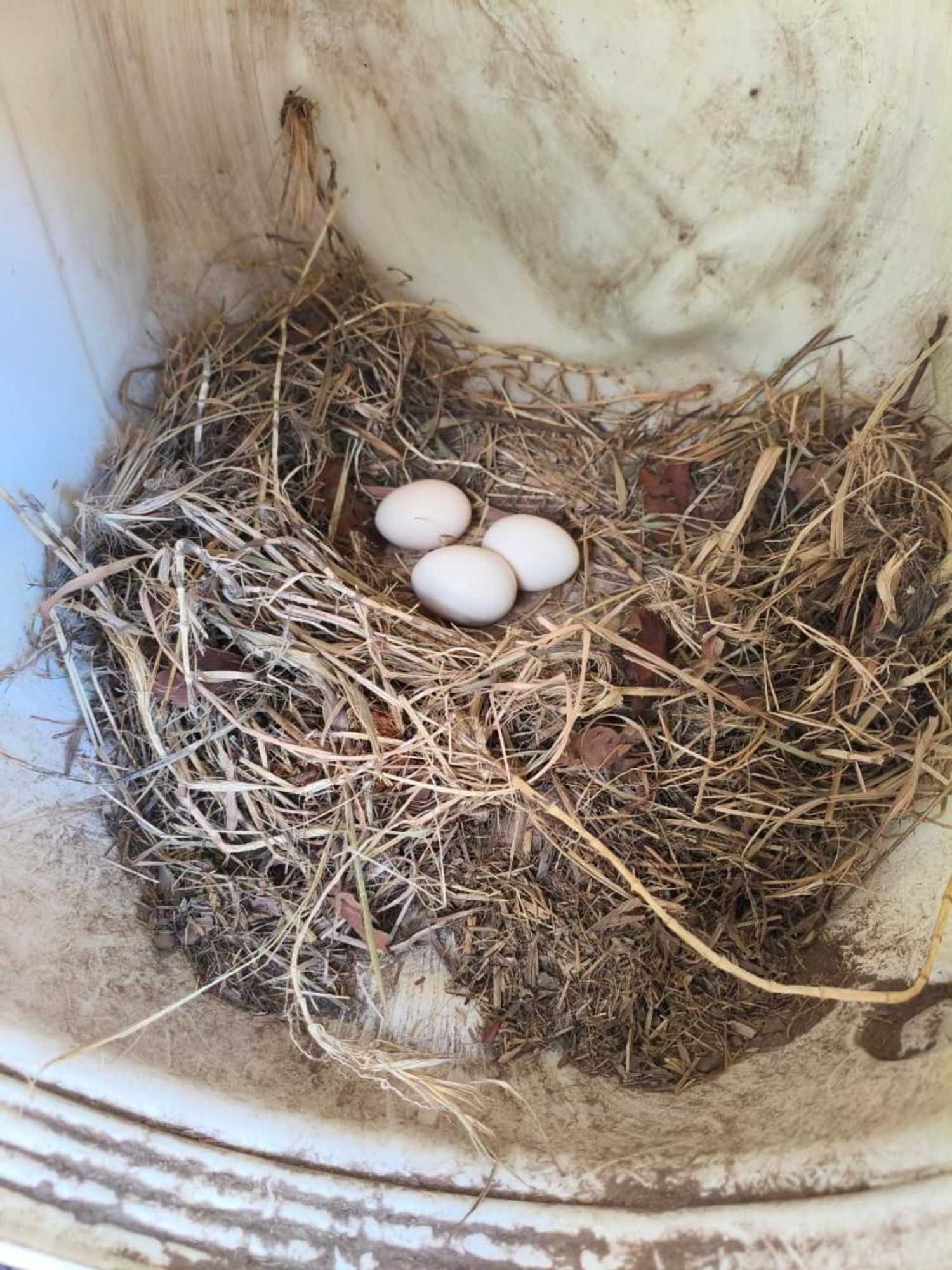 Gift card for Kondo Villa