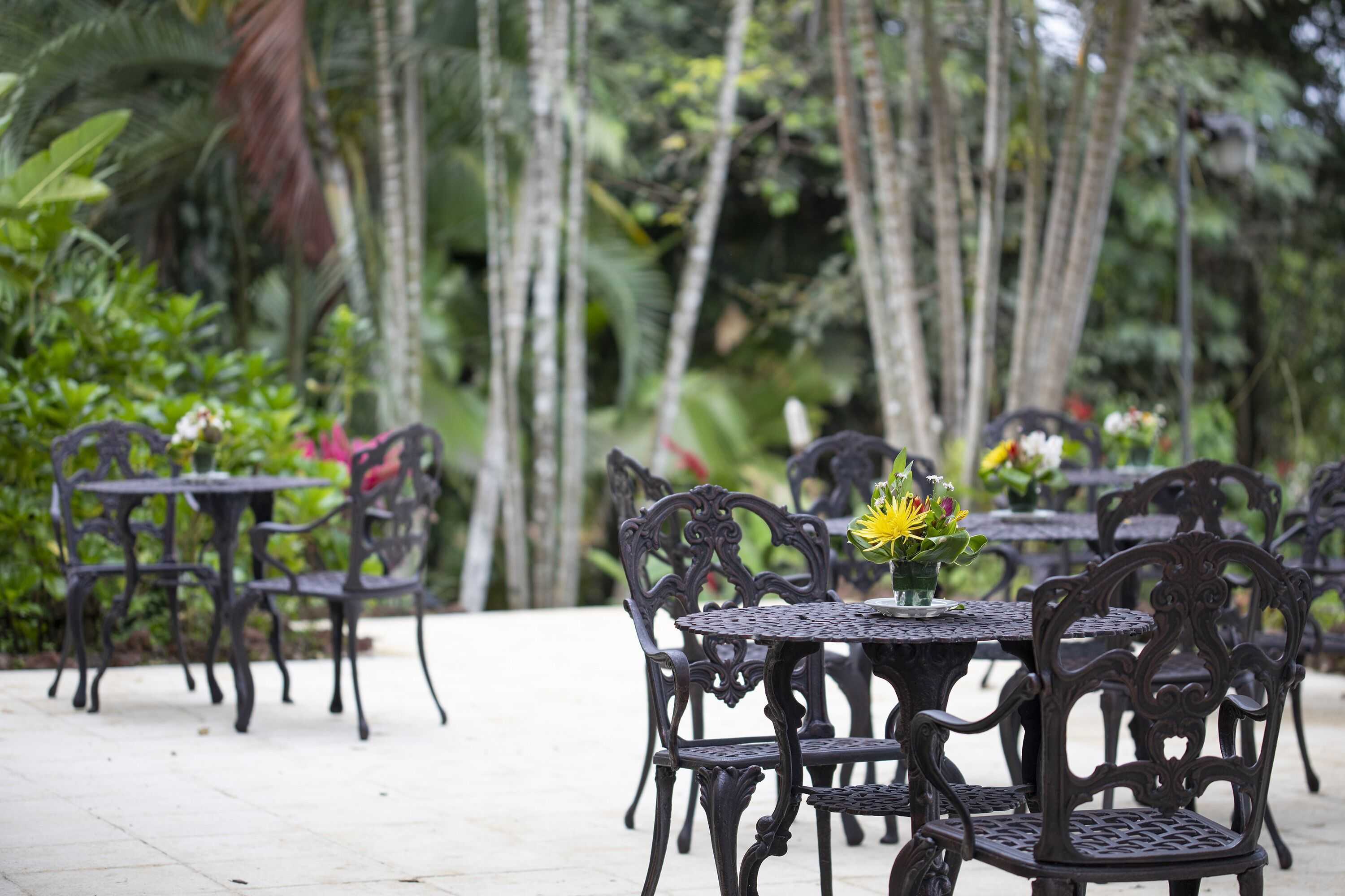 Gift card for Villa San Ignacio Gift card for Villa San Ignacio