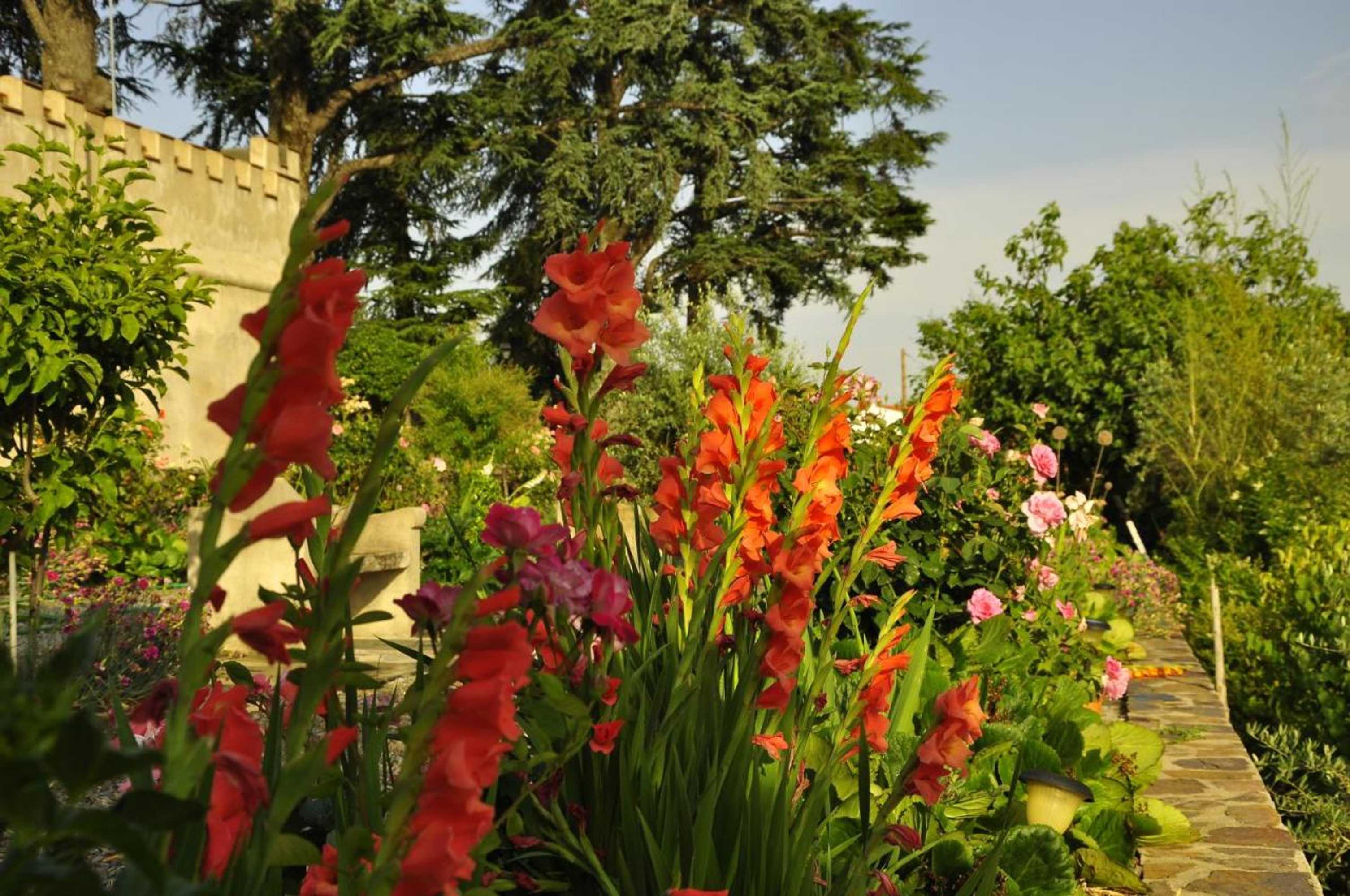 Gift card for Vila Maria