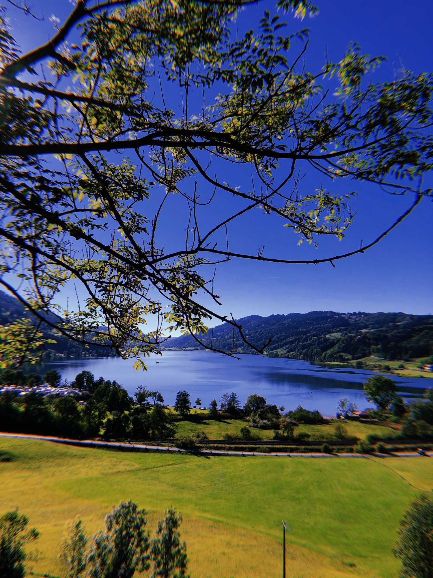 Gift card for Rothenfels Panorama Hotel Gift card for Rothenfels Panorama Hotel