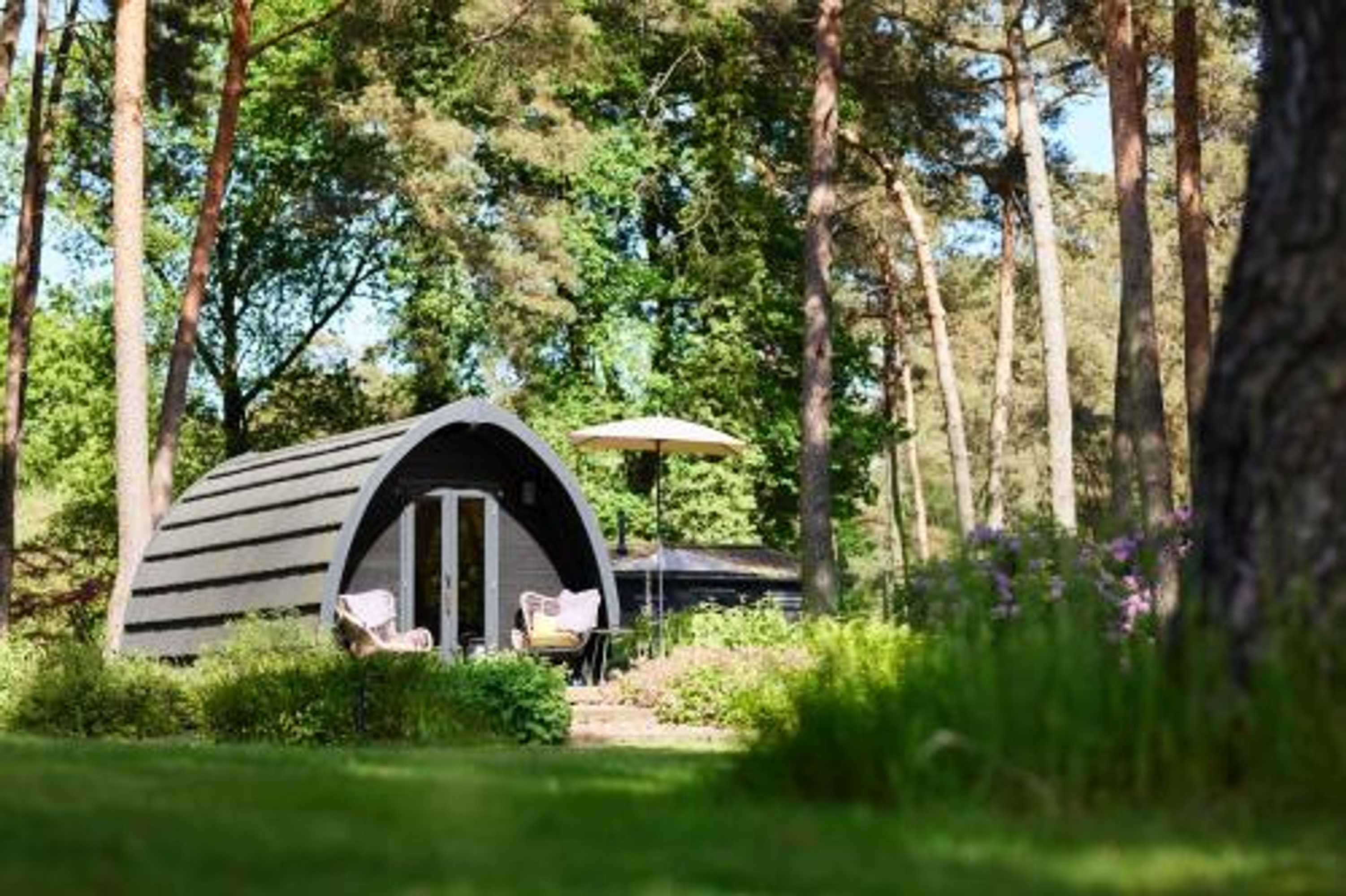 Gift card for Kampinastaete, Hippe Cottages Midden in Natuurgebied de Kampina Oisterwijk Gift card for Kampinastaete, Hippe Cottages Midden in Natuurgebied de Kampina Oisterwijk