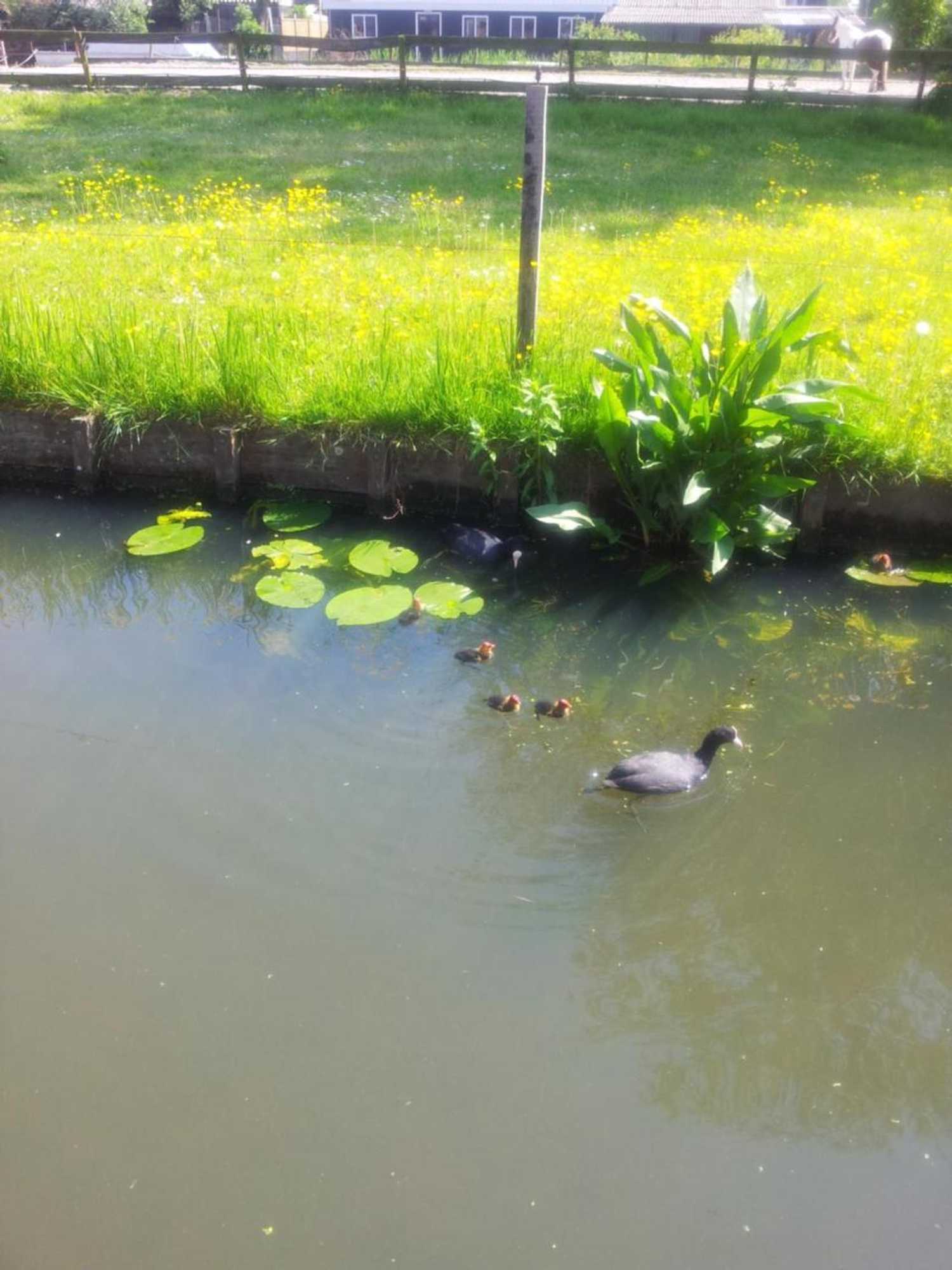 Gift card for B&b Dirosa