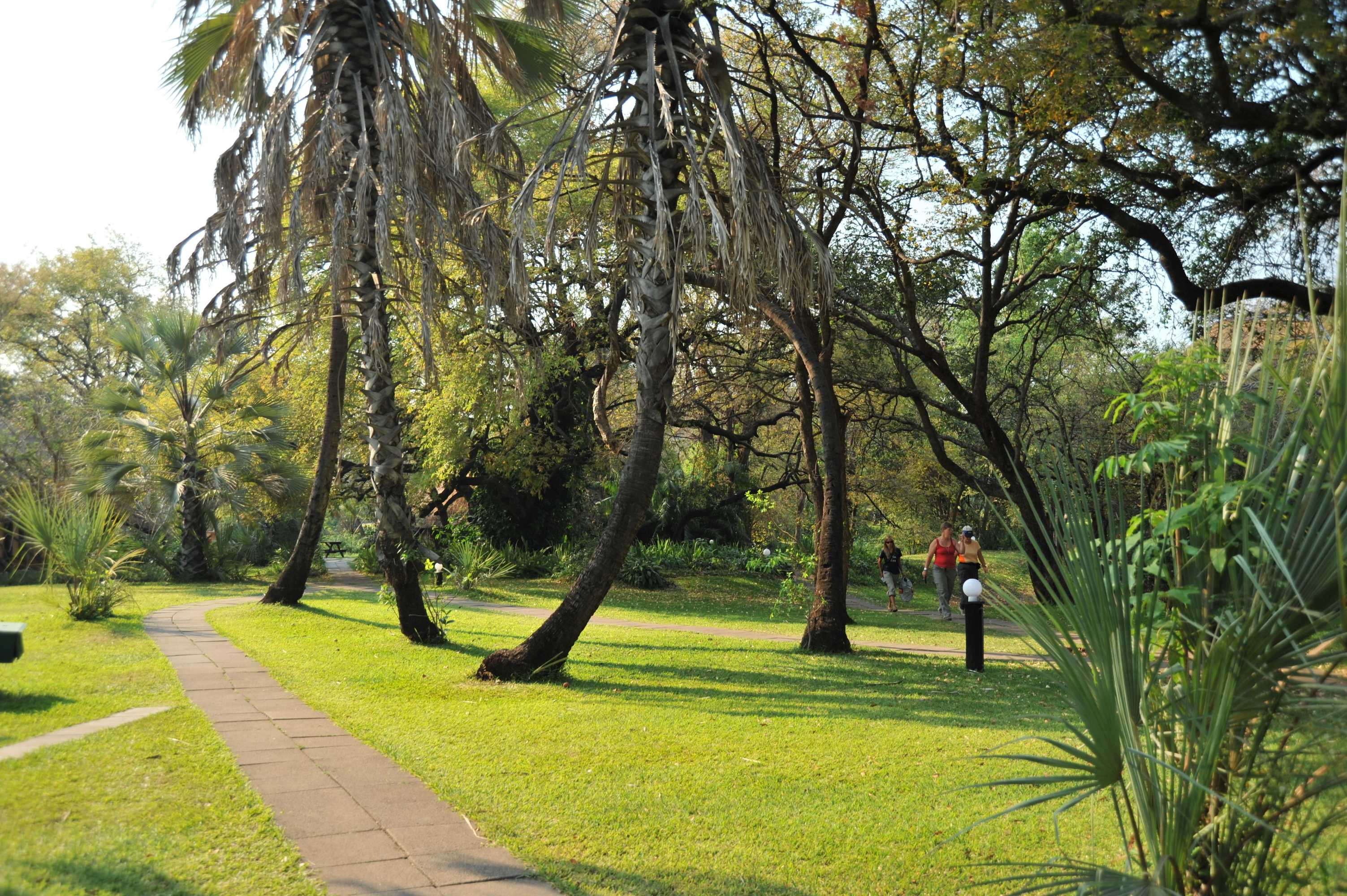 Gift card for Victoria Falls Waterfront Gift card for Victoria Falls Waterfront