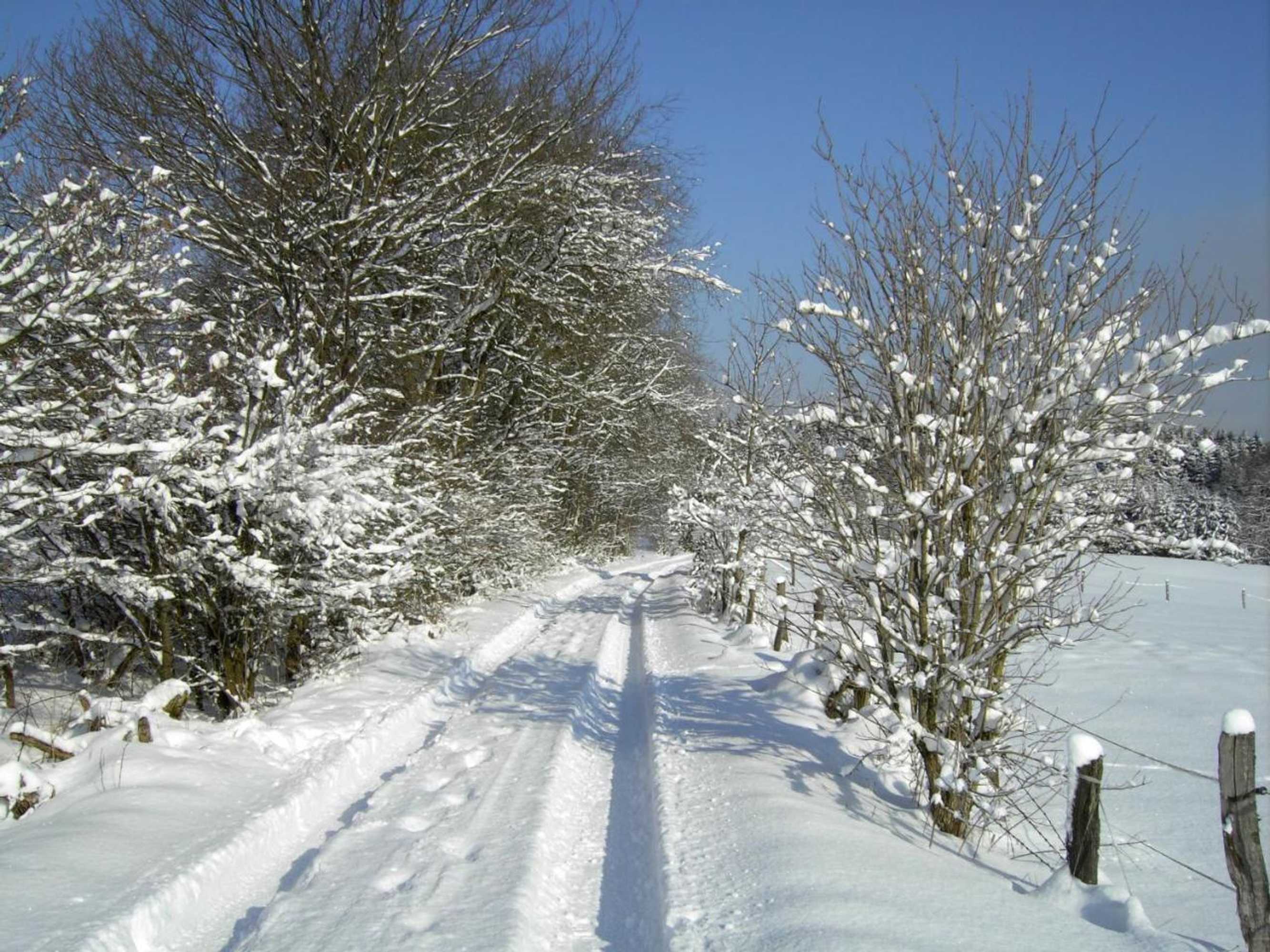 Gift card for Stöltings Landhaus