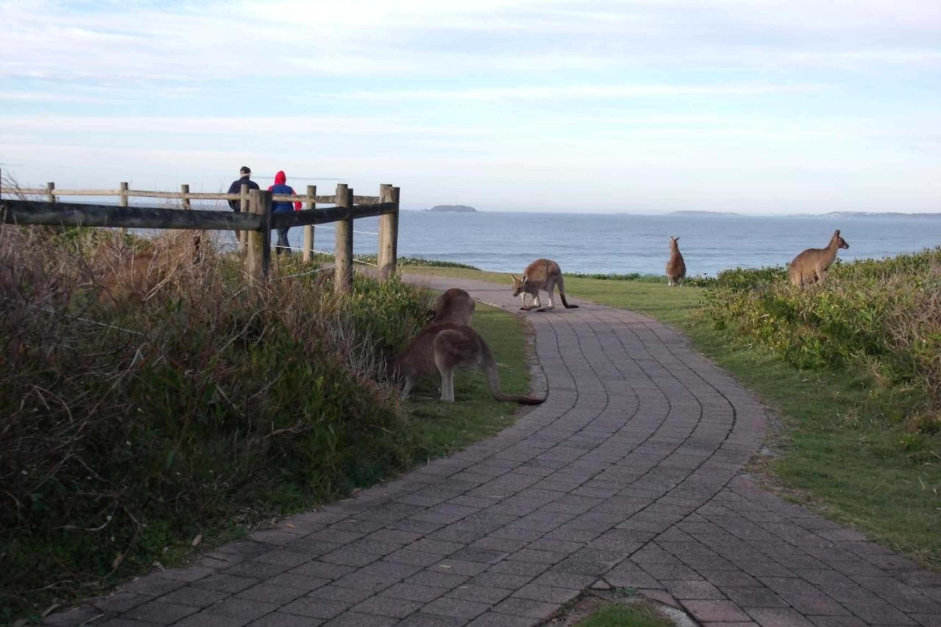 Gift card for Emerald Tropical Palms B & B Gift card for Emerald Tropical Palms B & B