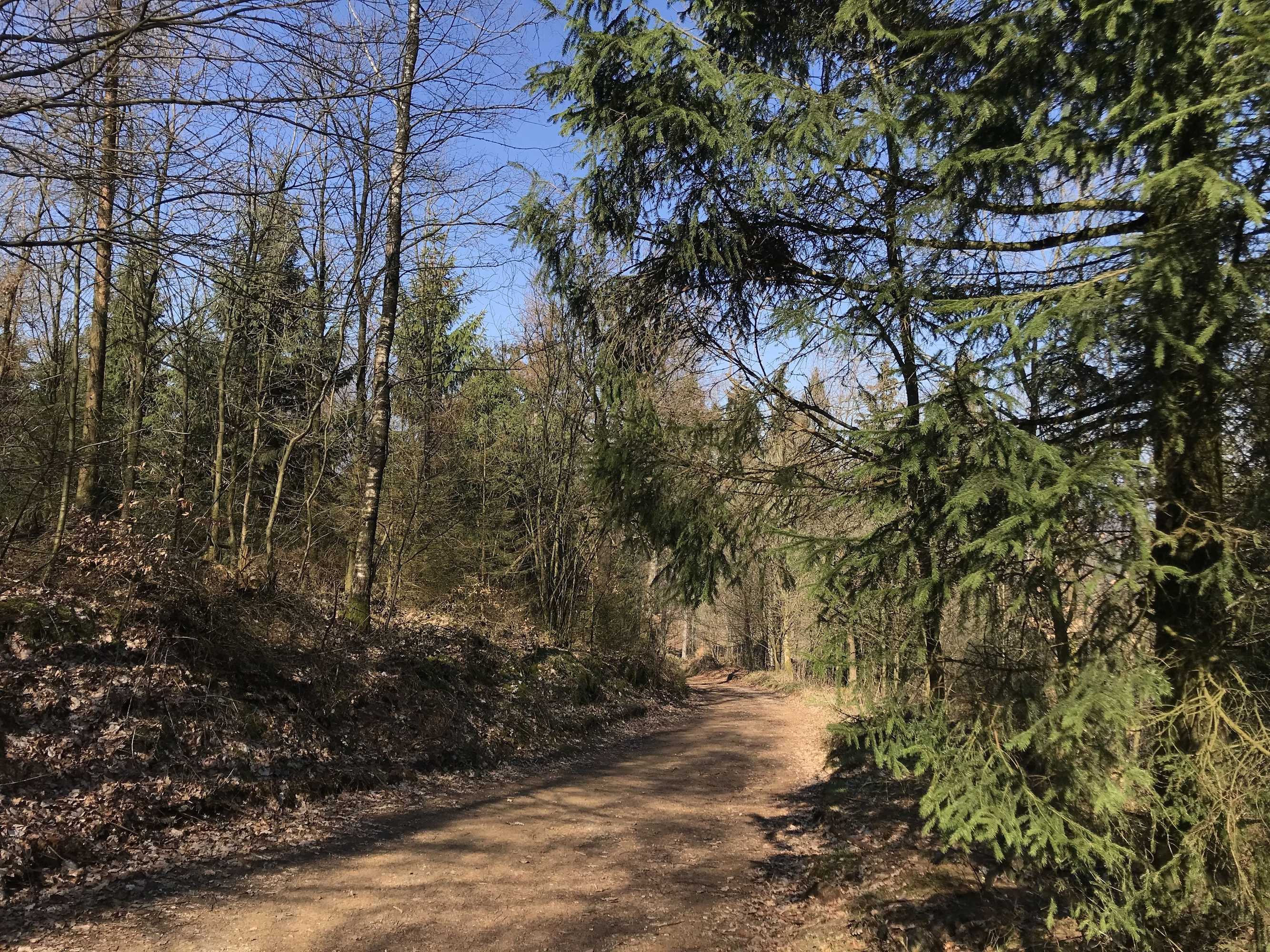 Gift card for Waldhotel Peter Aufm Berge