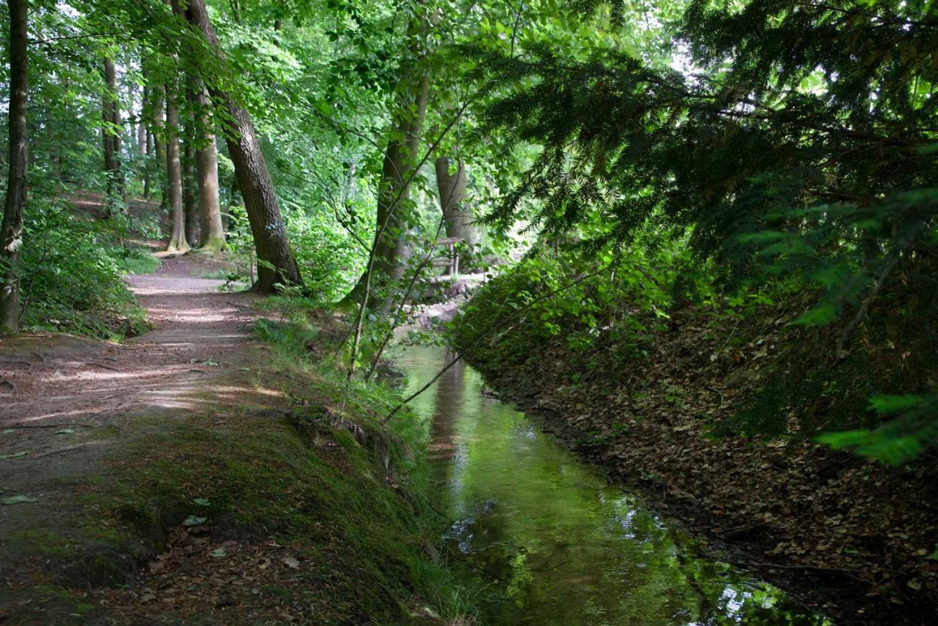 Gift card for B&b de Kerk