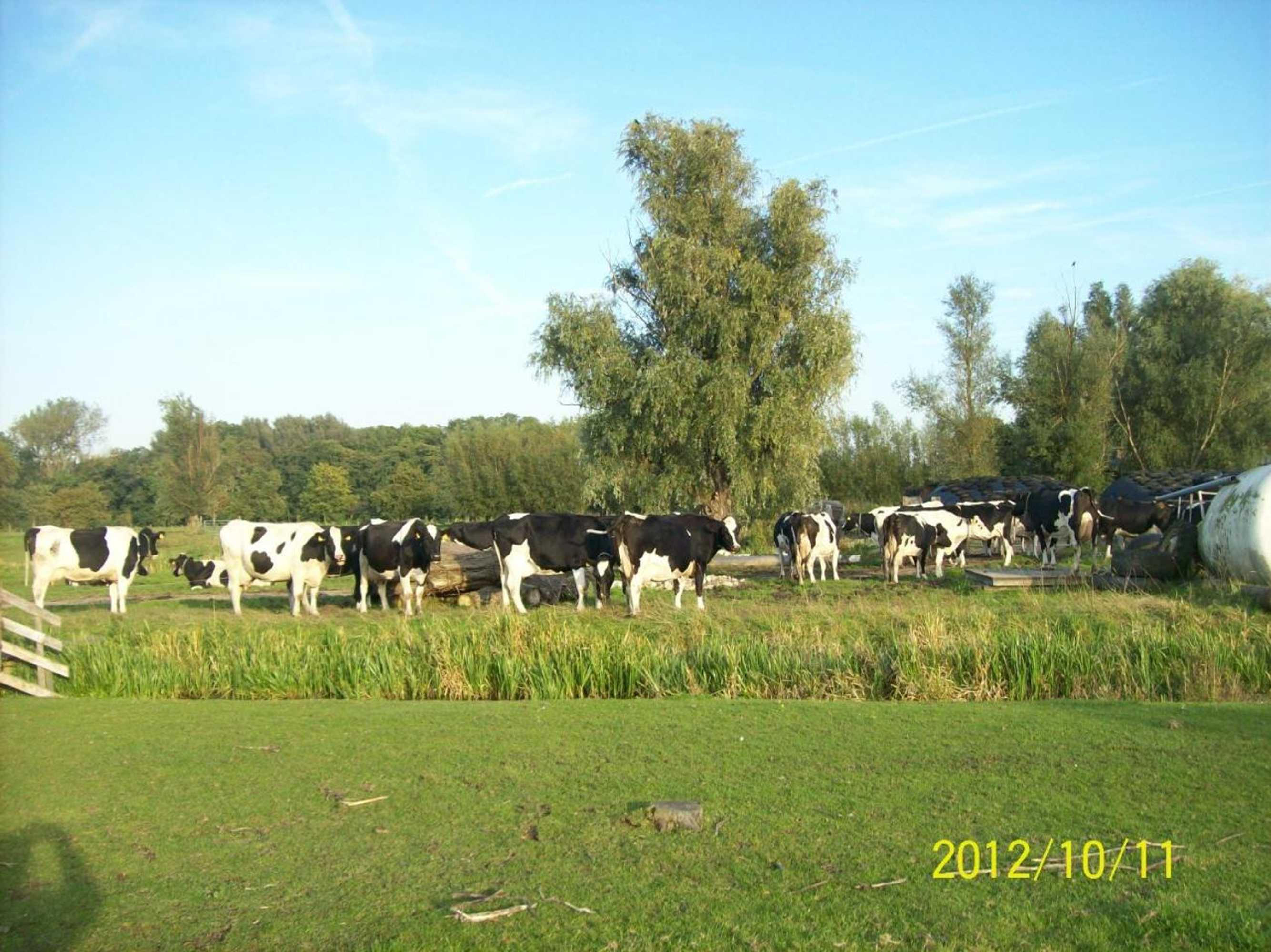 Gift card for Het Boenhok Logies