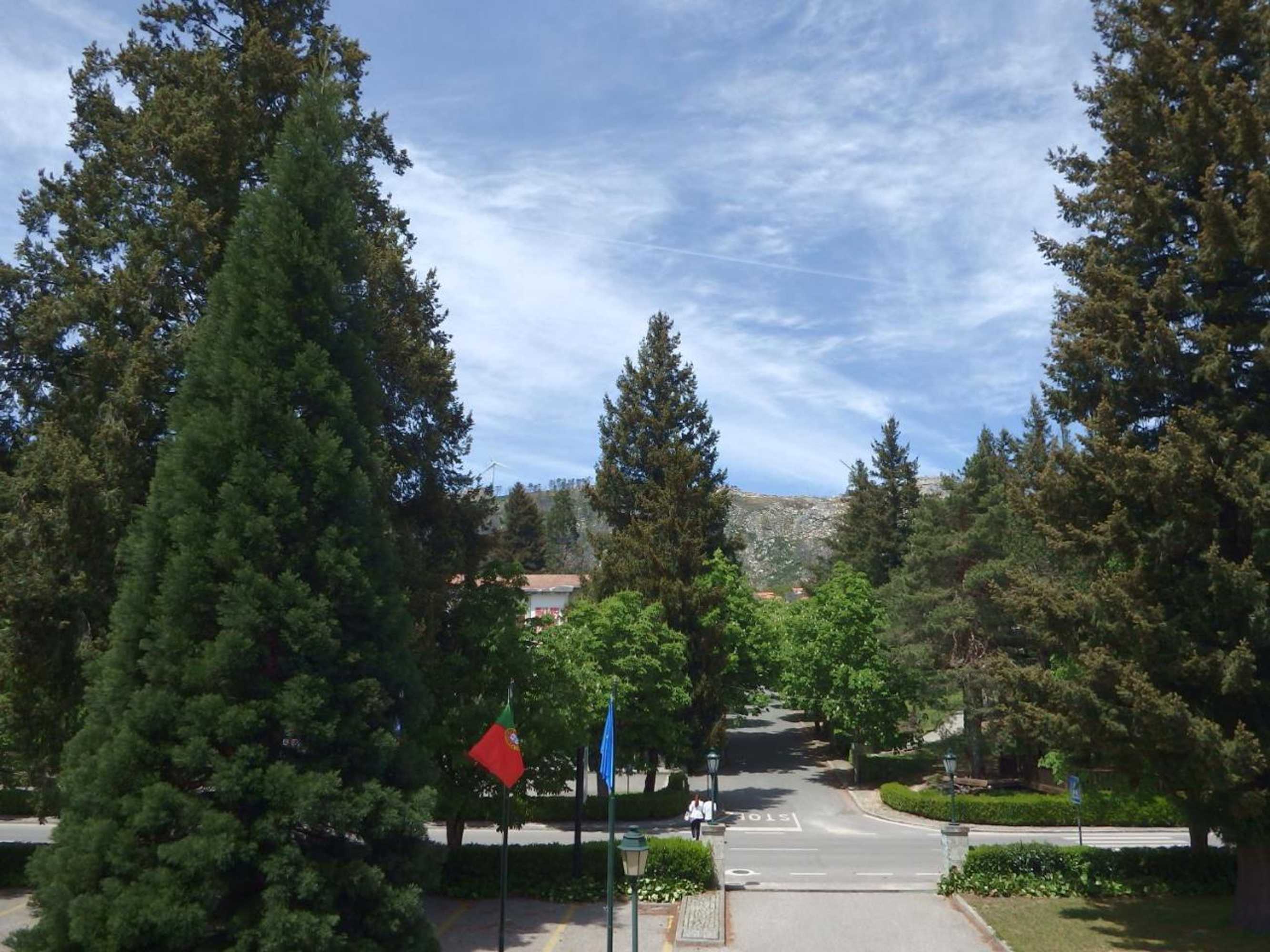 Gift card for Golden Tulip Caramulo