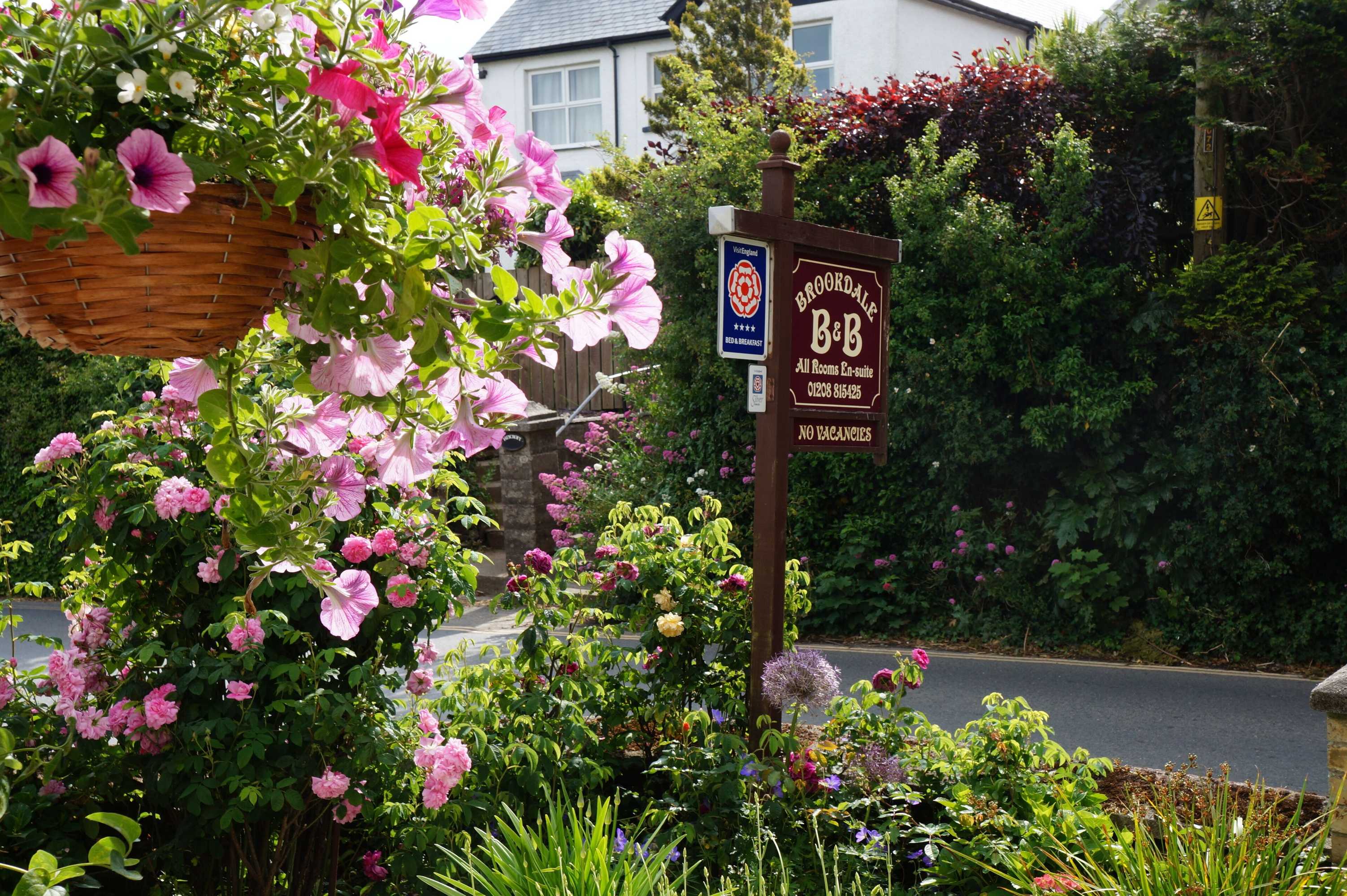Gift card for Brookdale B&b