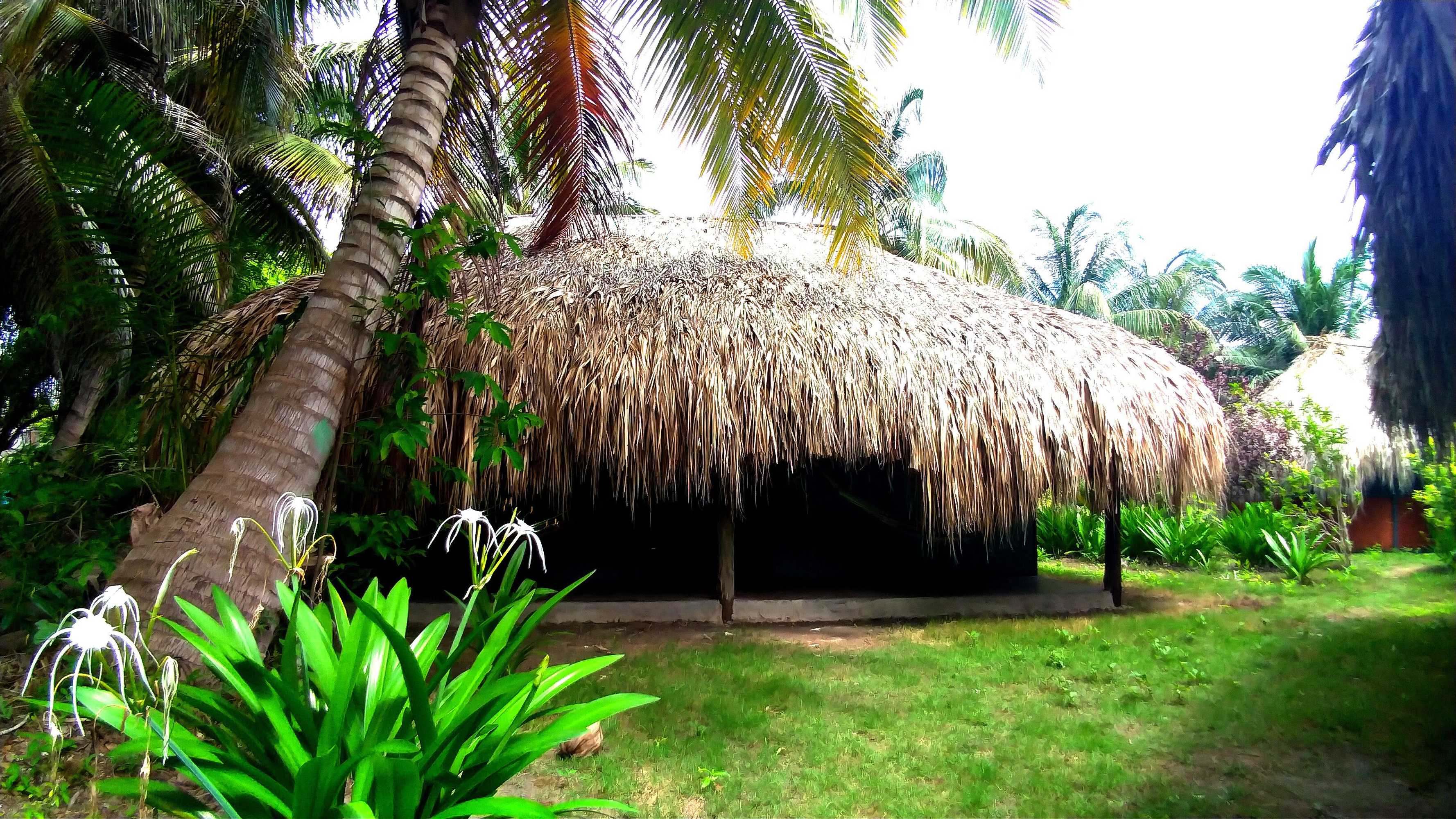 Gift card for Las Palmeras Gift card for Las Palmeras