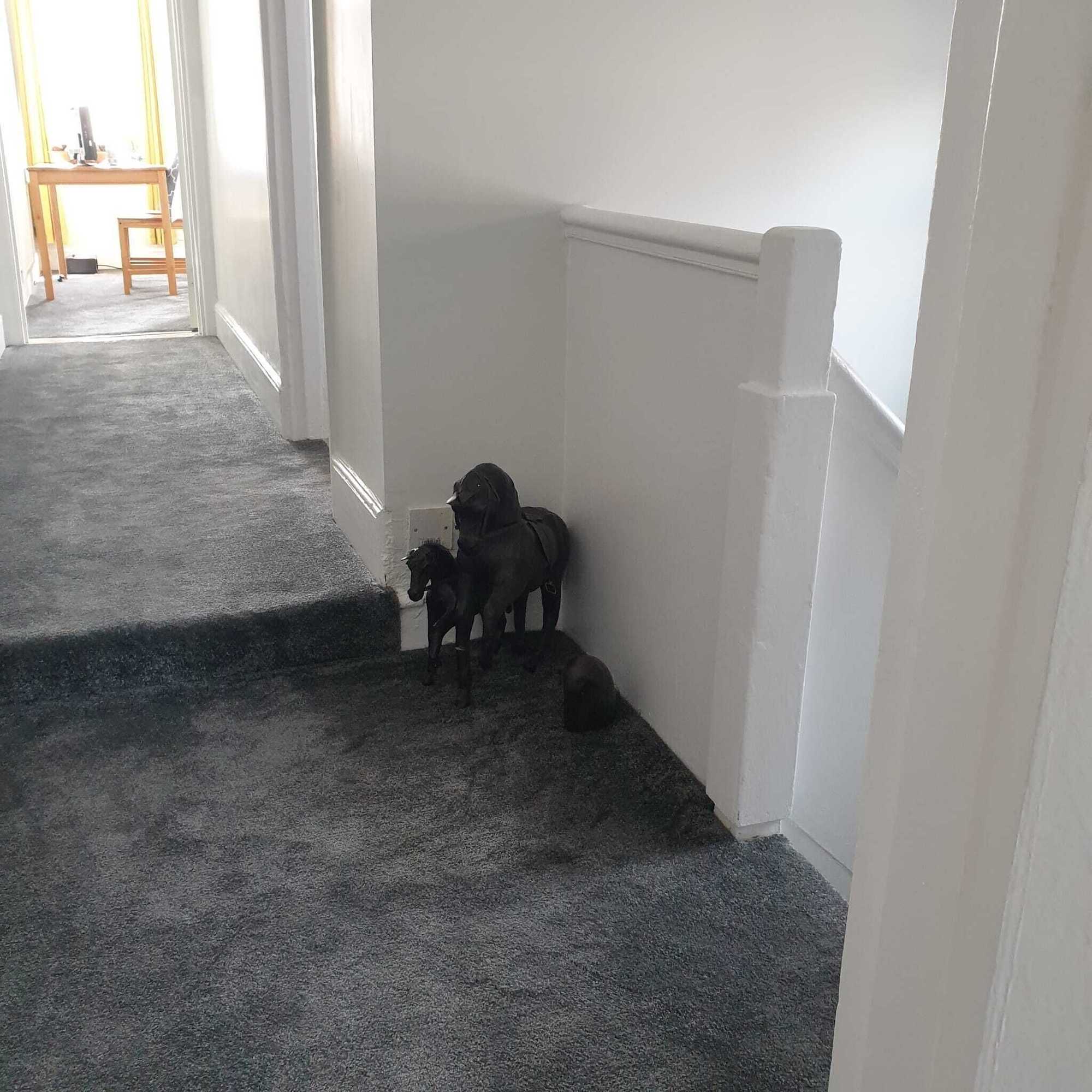 Gift card for Travellers' Choice