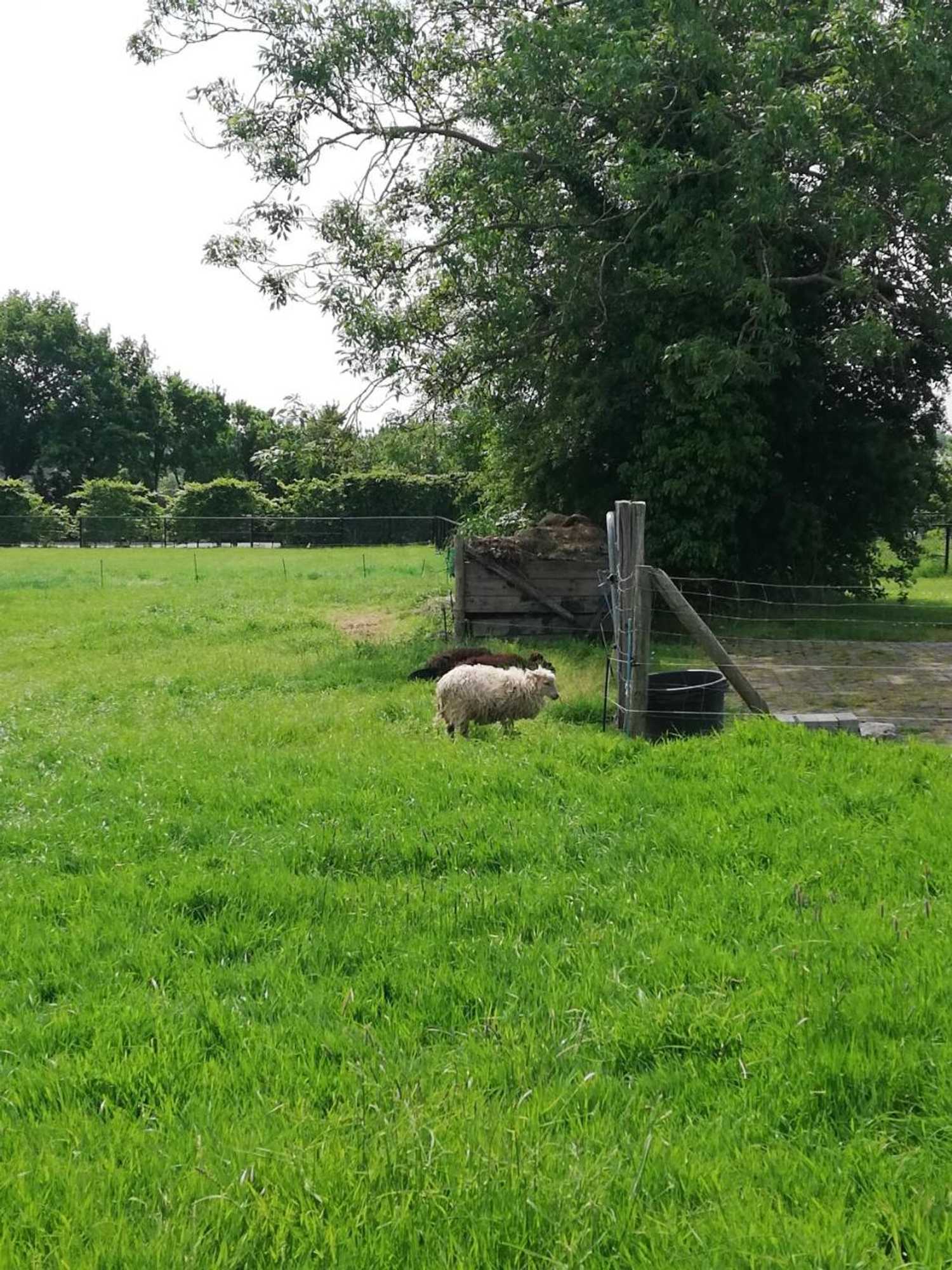 Gift card for Zalk Blijven Slapen