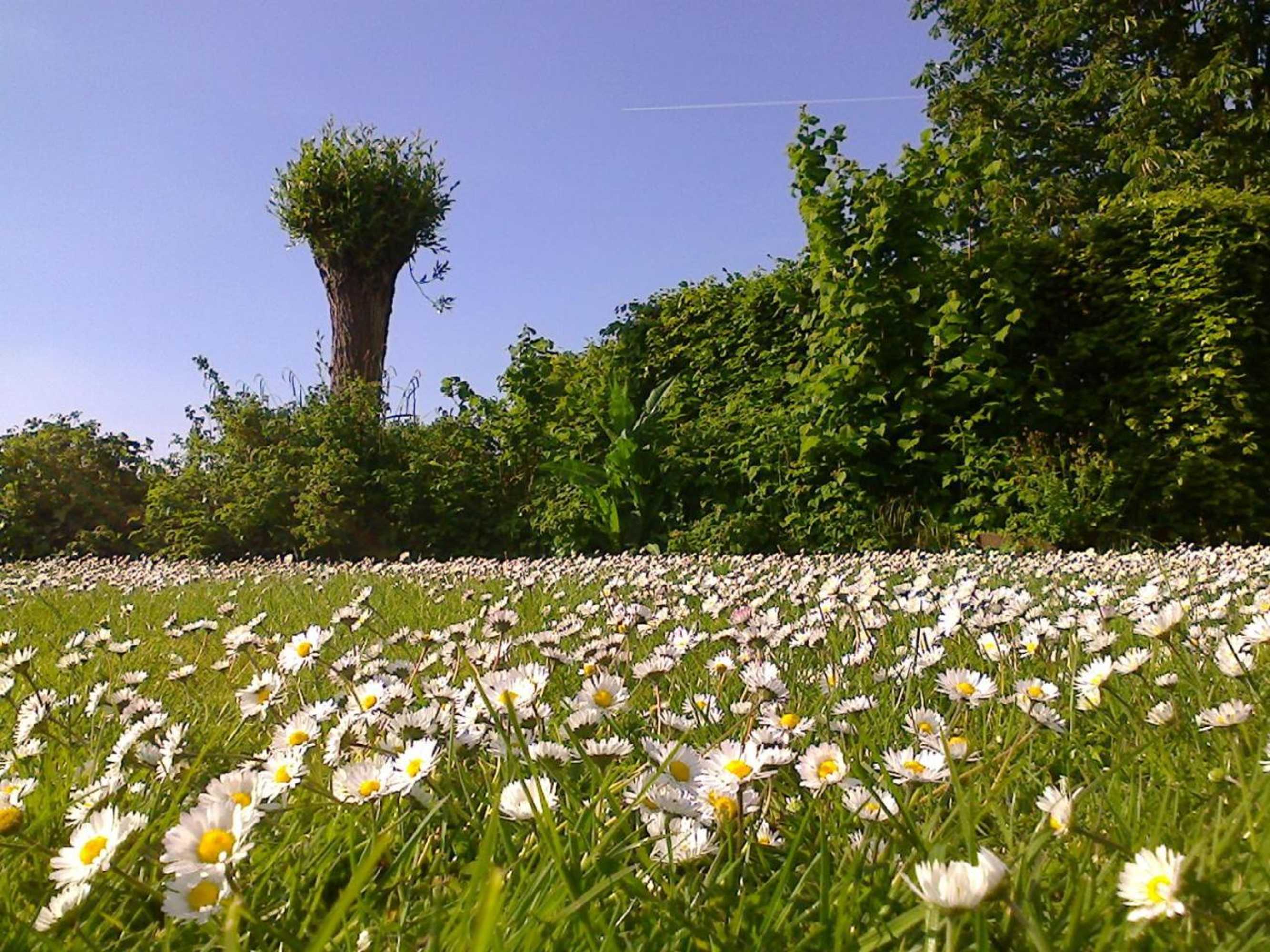 Gift card for Holiday Cottage de Garage Inn