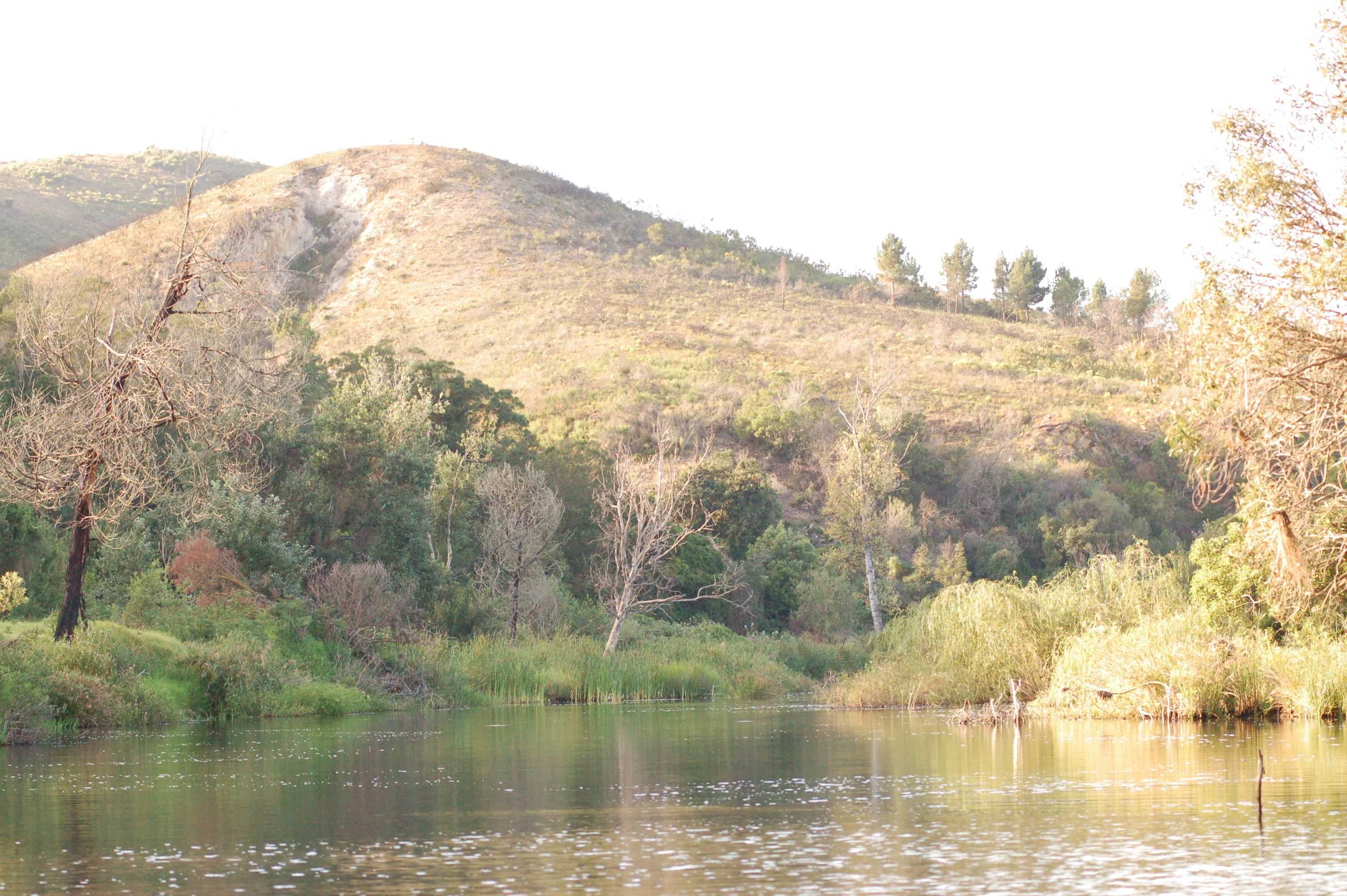 Gift card for Botlierskop Private Game Reserve Gift card for Botlierskop Private Game Reserve