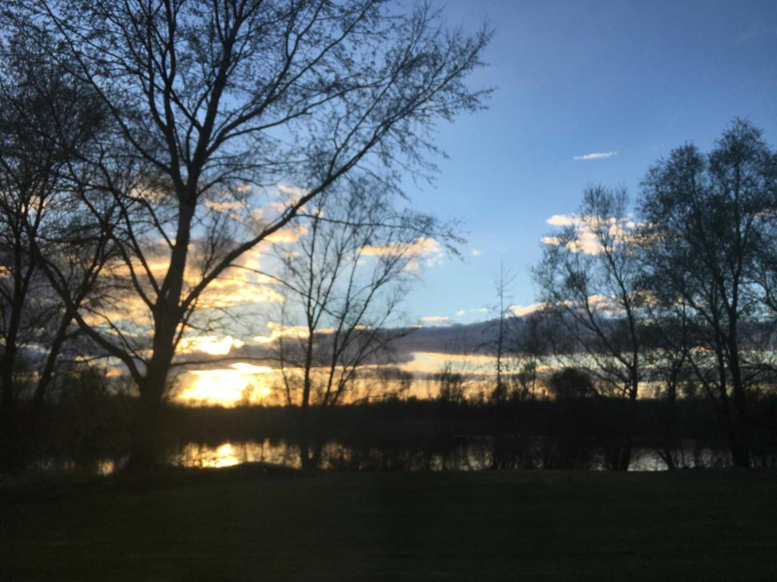 Gift card for The Lion Hotel