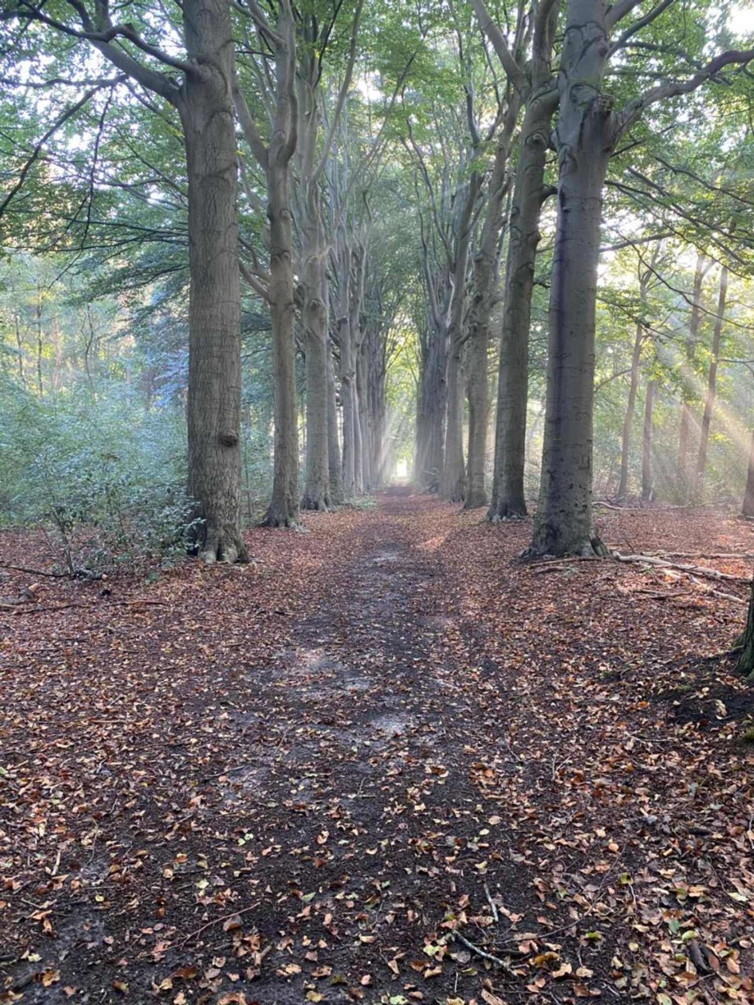 Gift card for La Grange 28