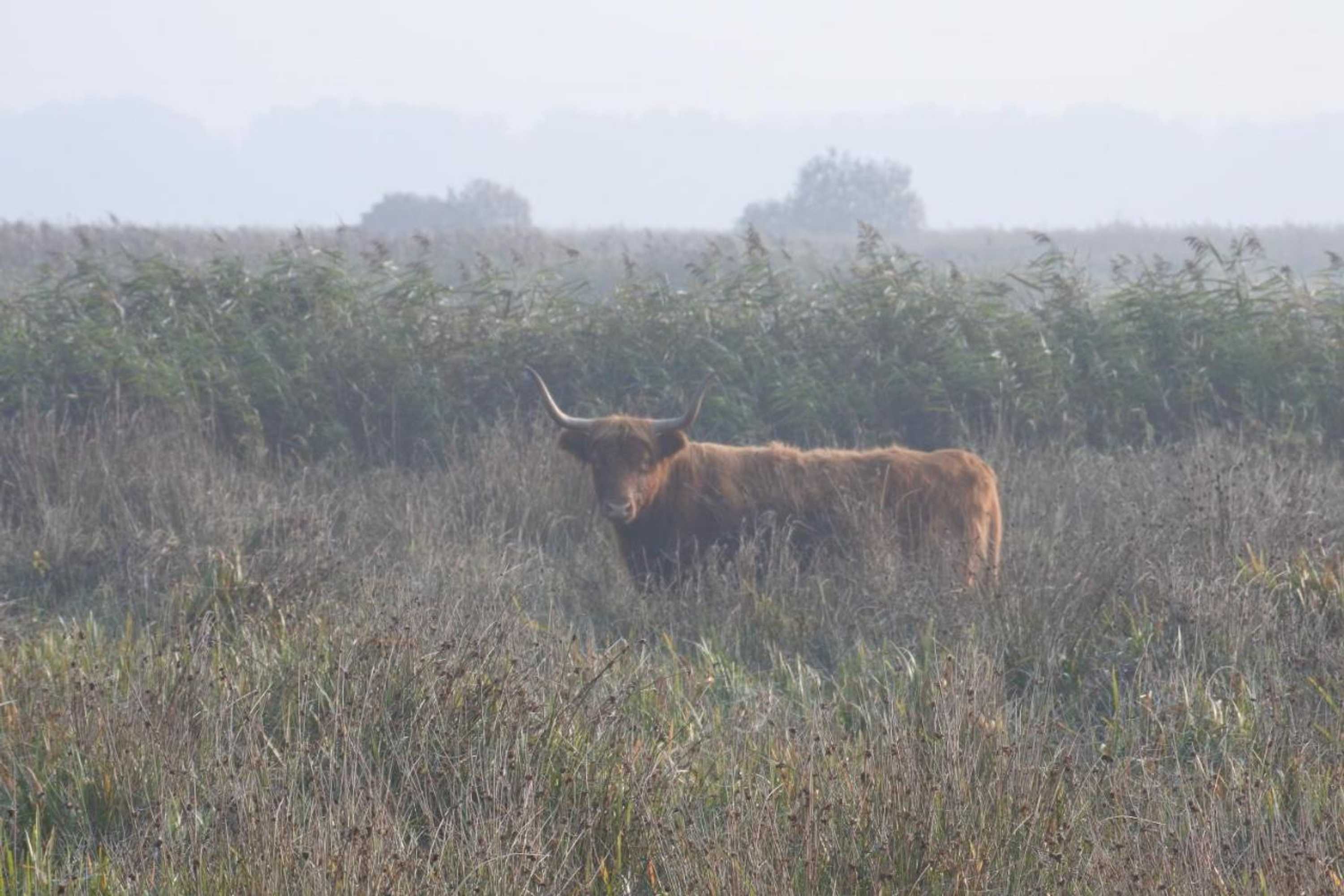 Gift card for Bed en Breakfast de Houtwiel